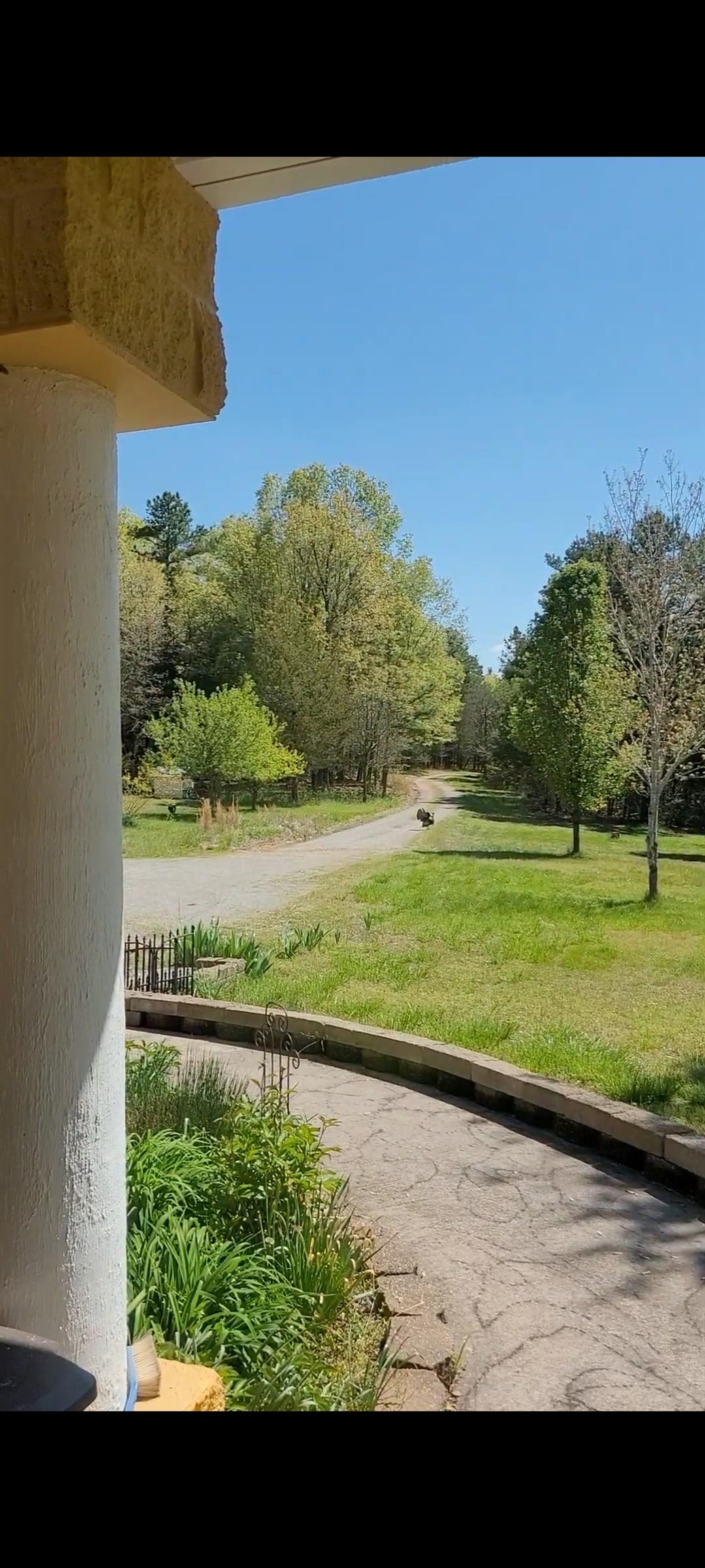 9238 Elizabeth  Viola, AR