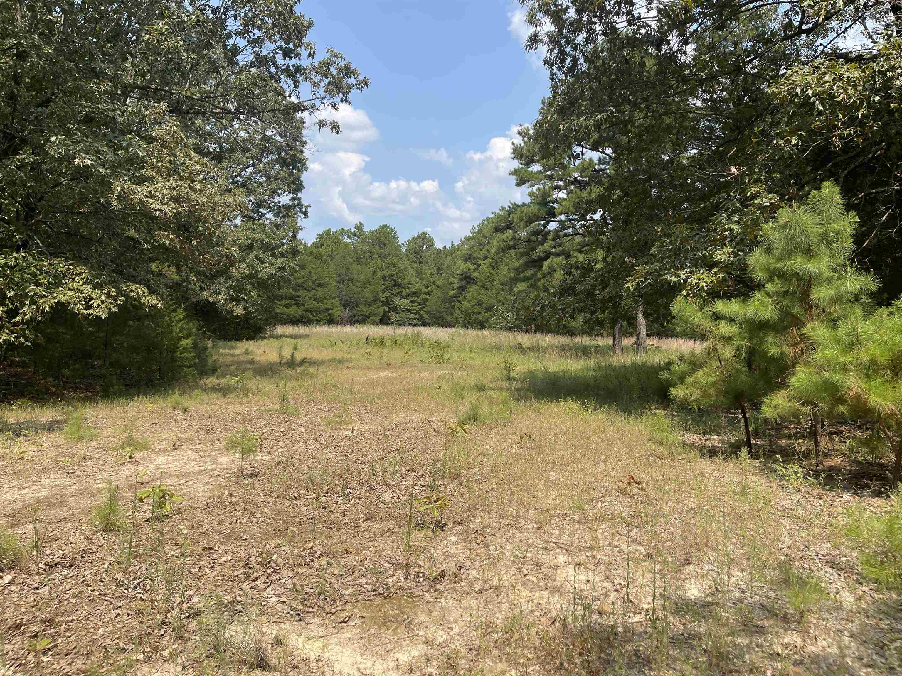 9238 Elizabeth  Viola, AR