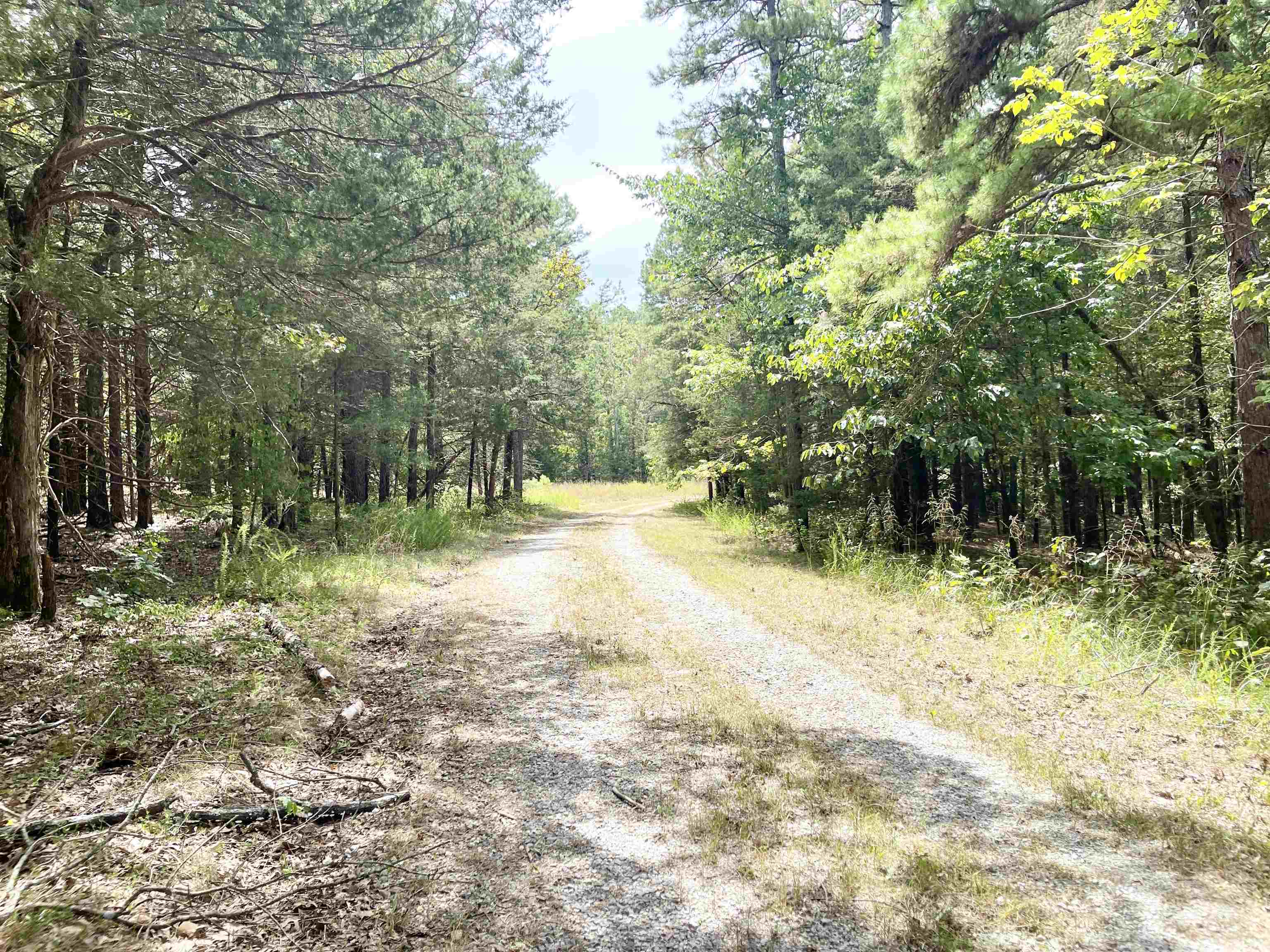 9238 Elizabeth  Viola, AR