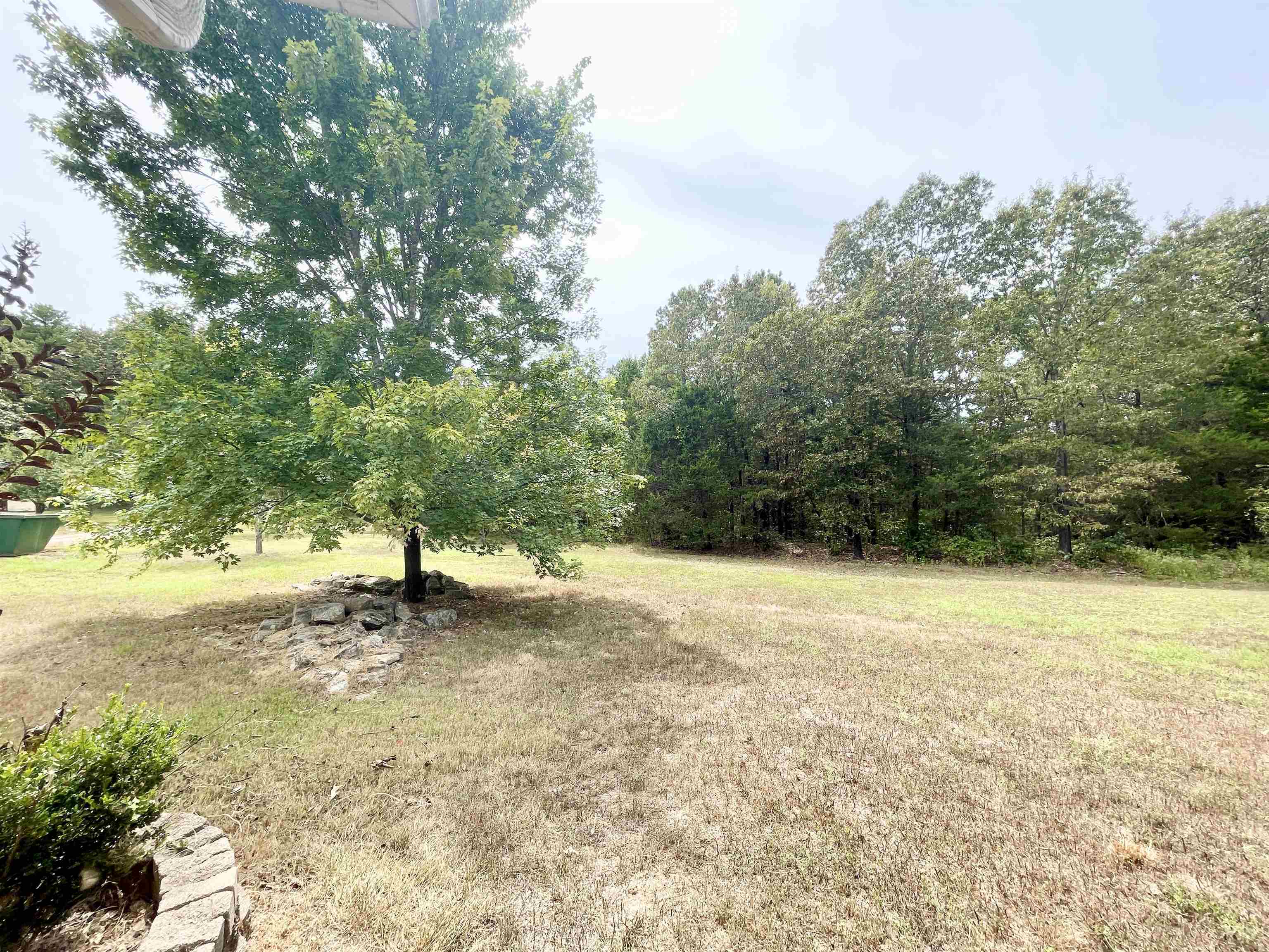 9238 Elizabeth  Viola, AR