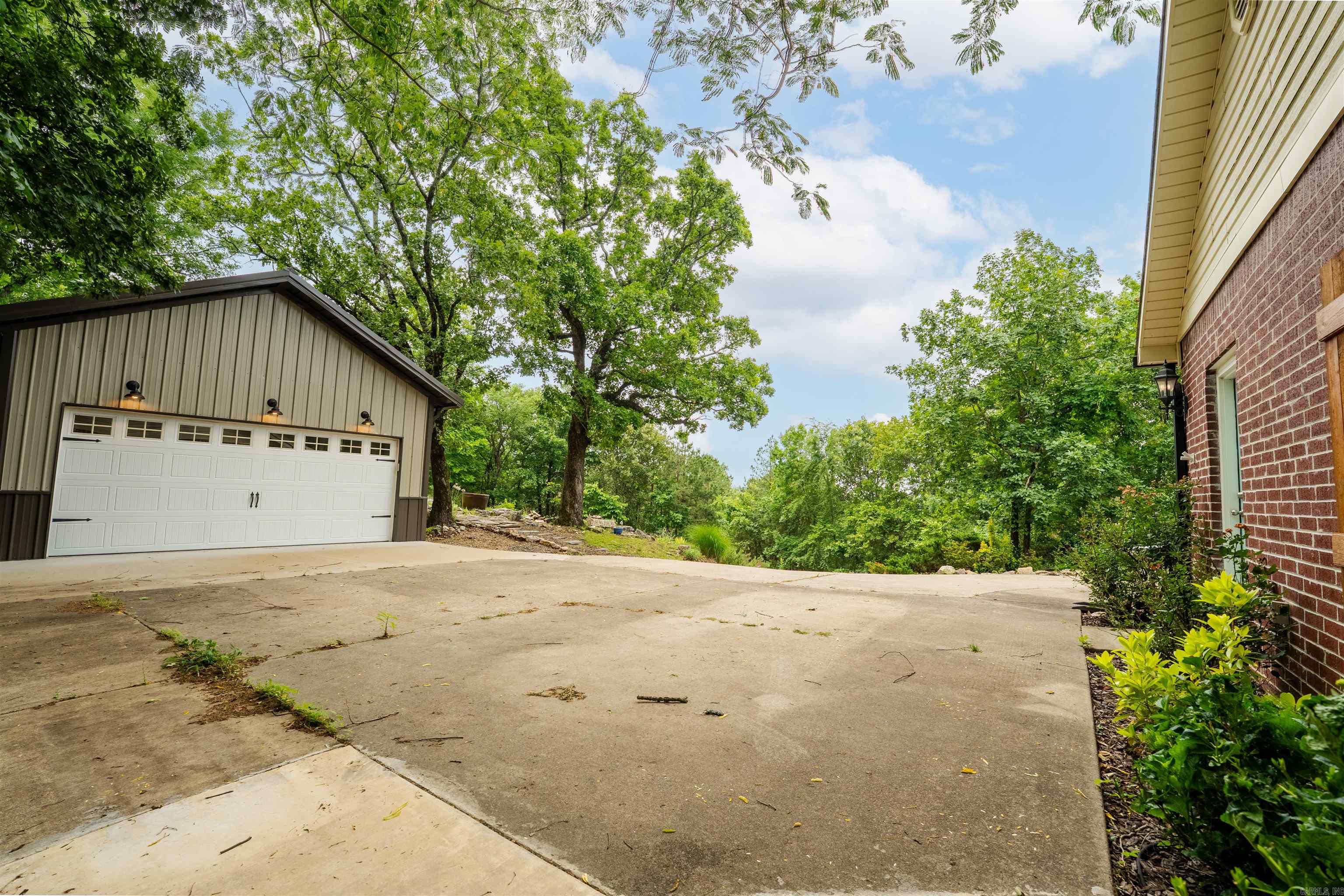 44 Bald Eagle  Paron, AR