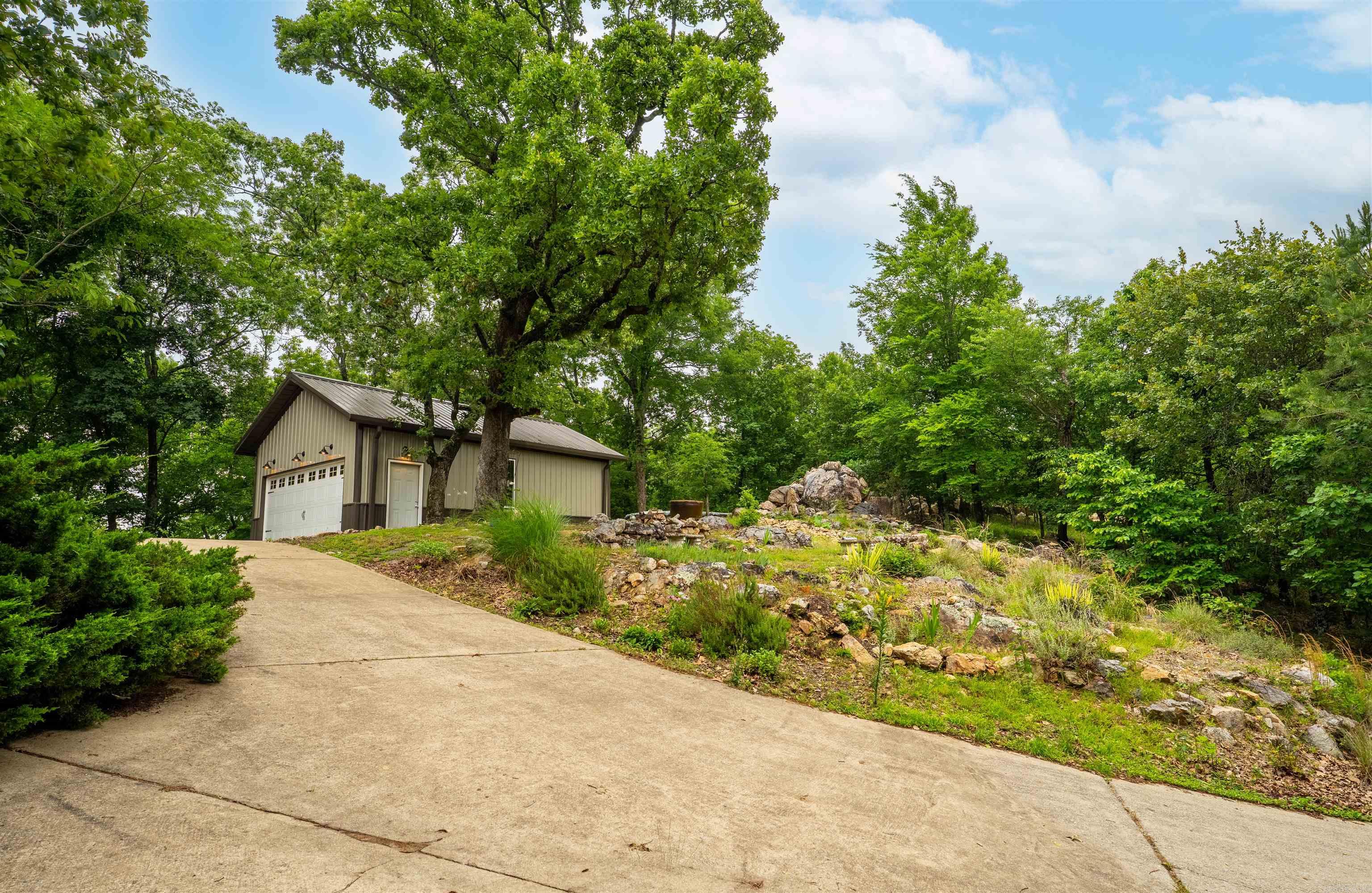 44 Bald Eagle  Paron, AR