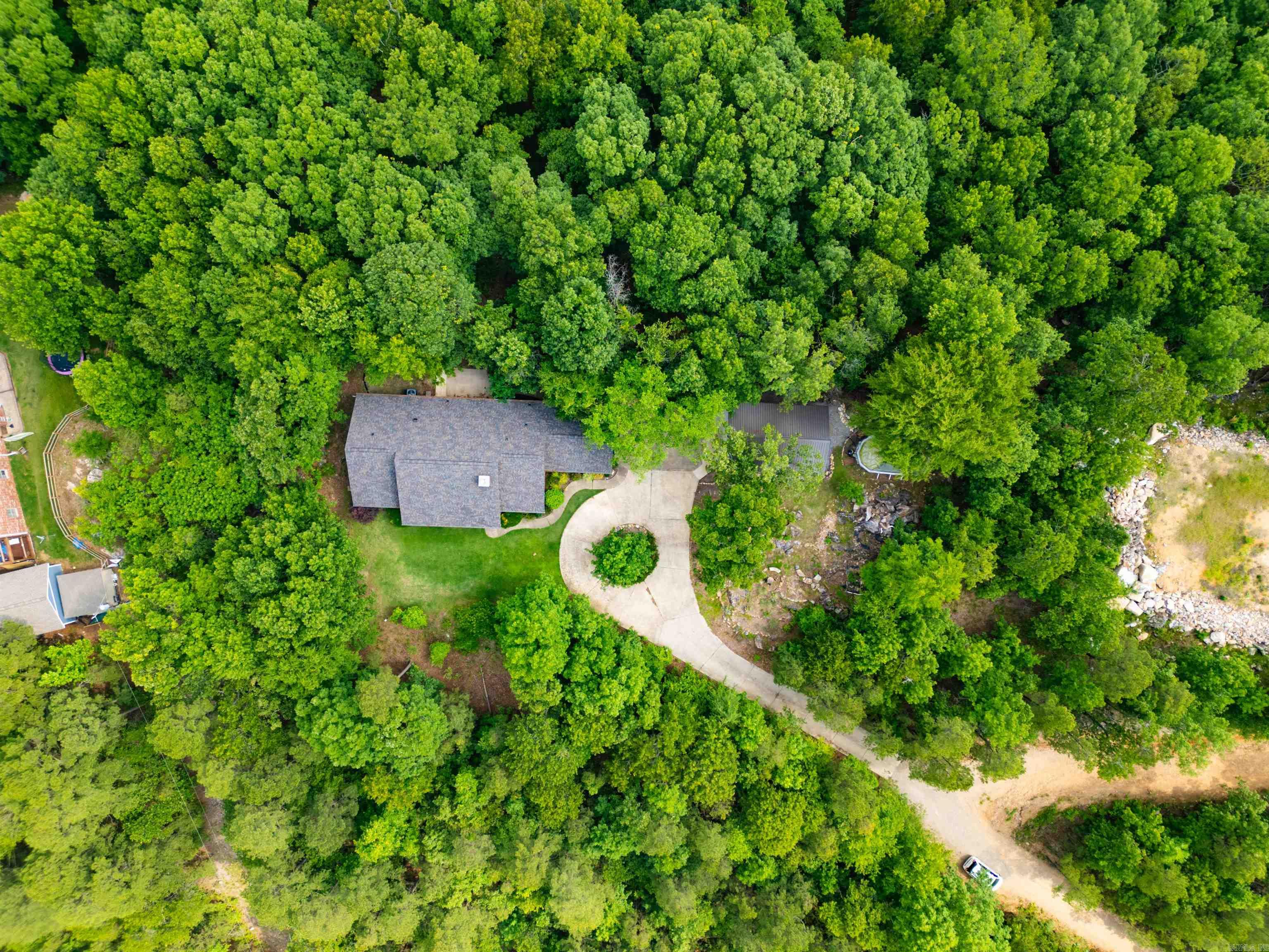 44 Bald Eagle  Paron, AR