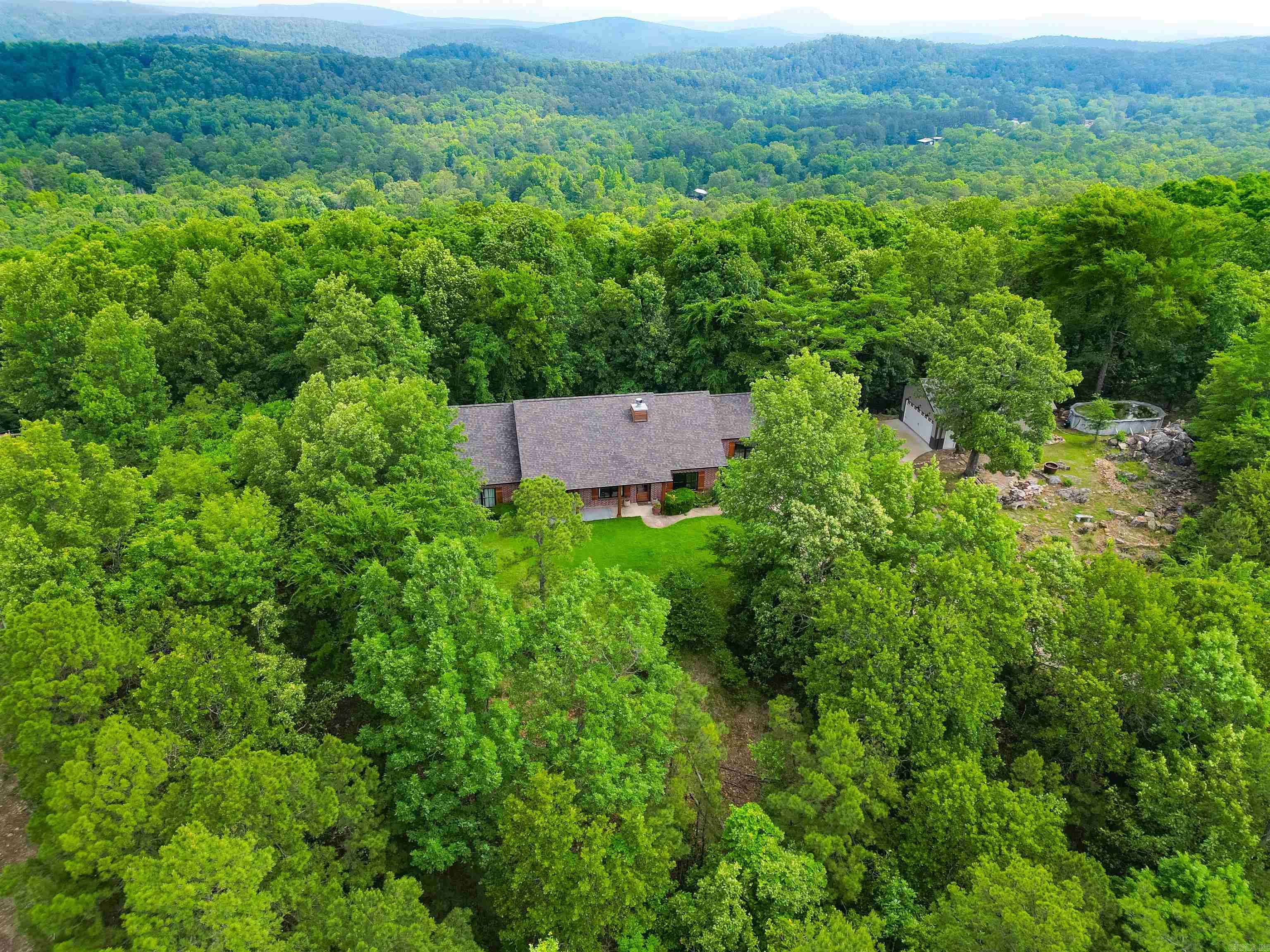 44 Bald Eagle  Paron, AR