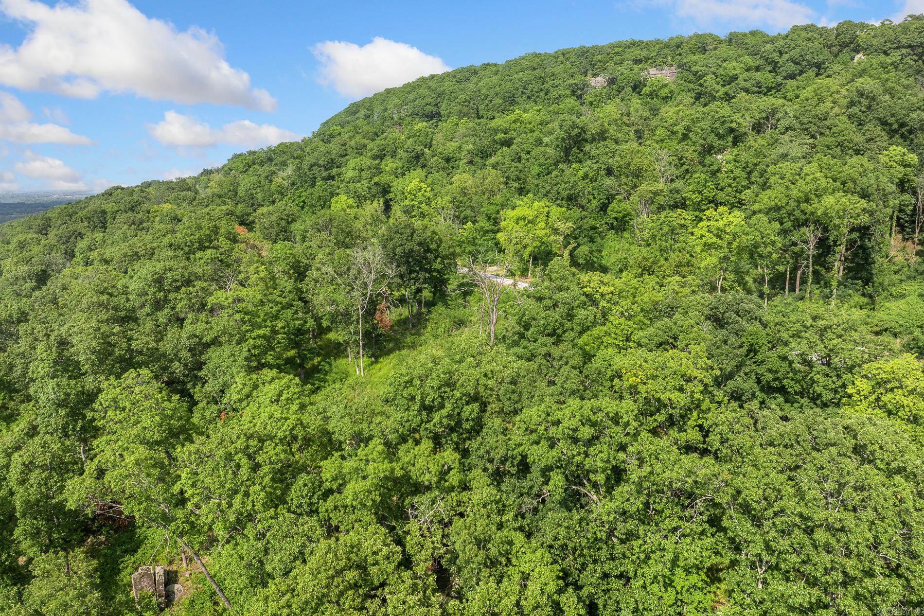 86 Lots Round Mountain Estates  Harrison, AR