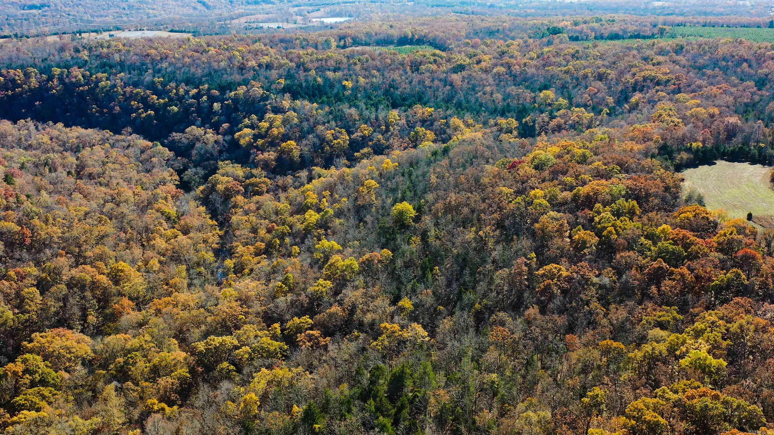 000 Summers Loop  Judsonia, AR