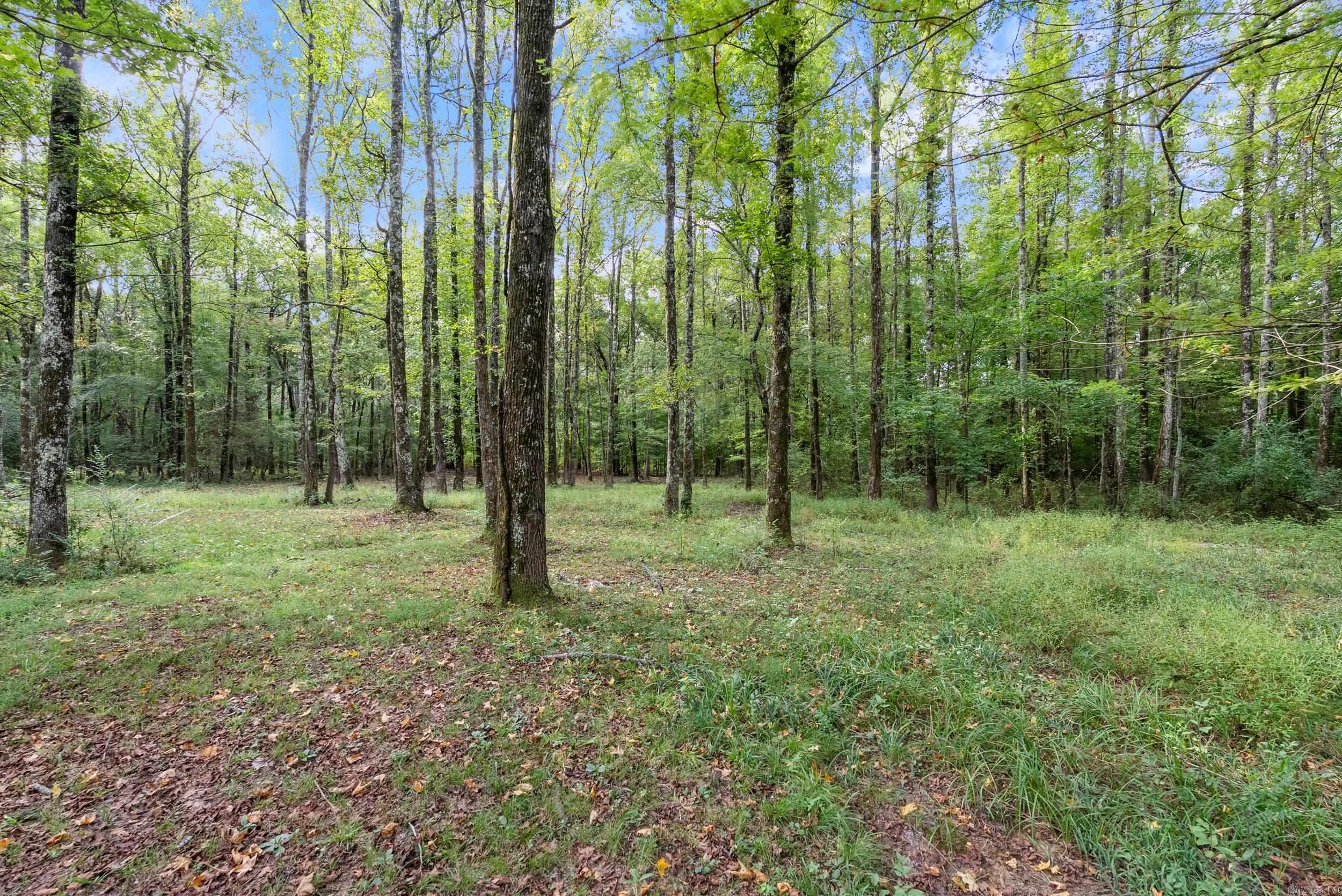 16 Linda Ln W  Vilonia, AR