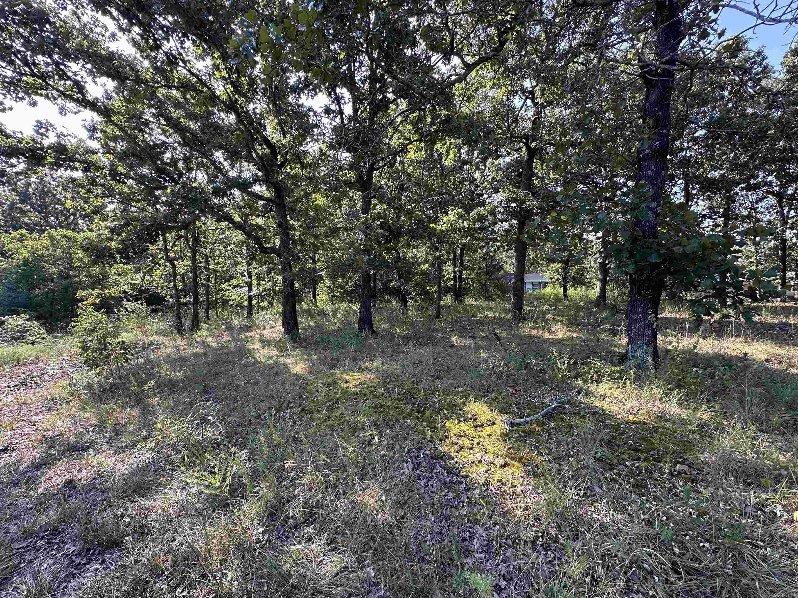 305,307 & 309 Ruby Ln  Horseshoe Bend, AR