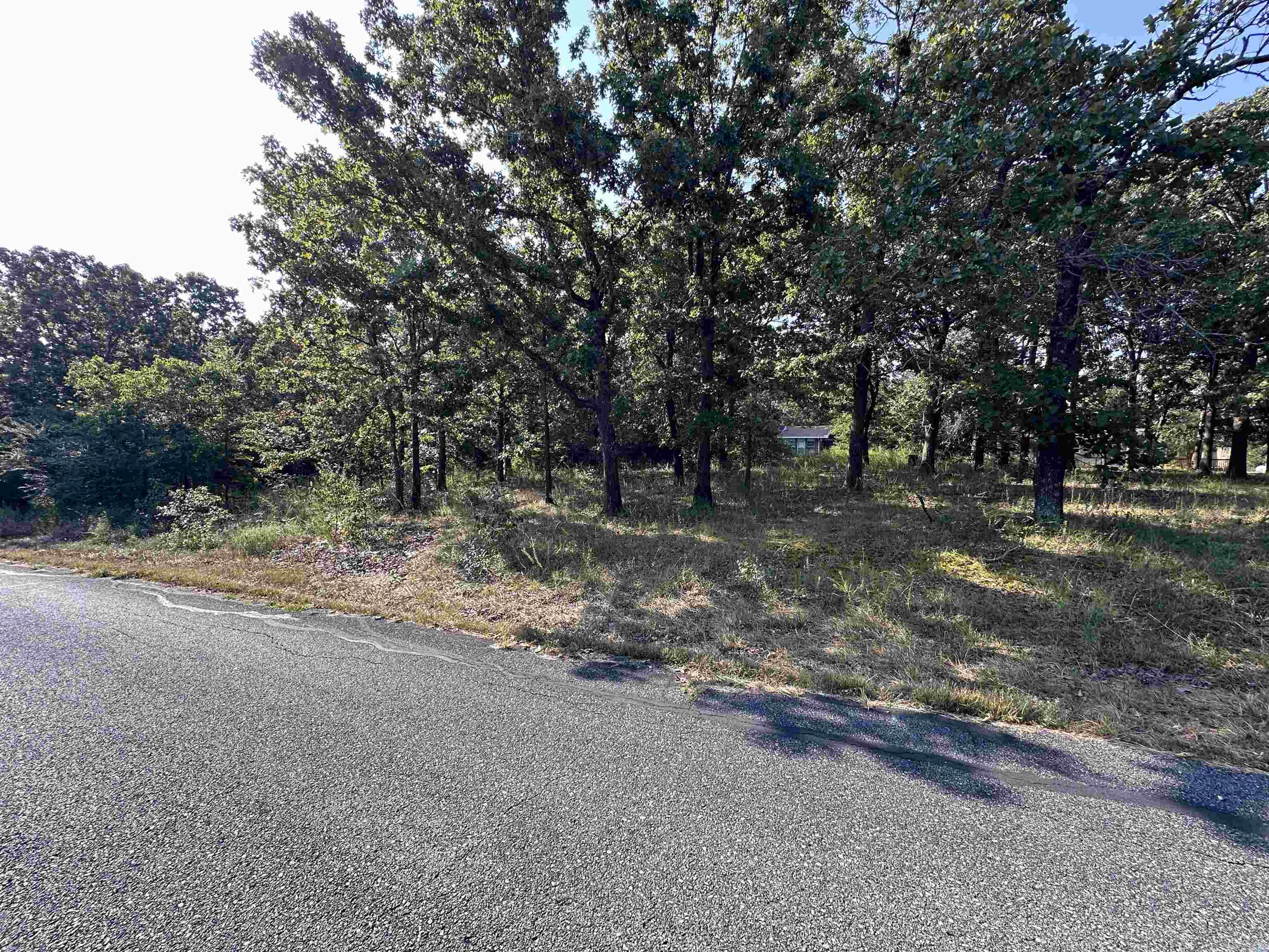 305,307 & 309 Ruby Ln  Horseshoe Bend, AR