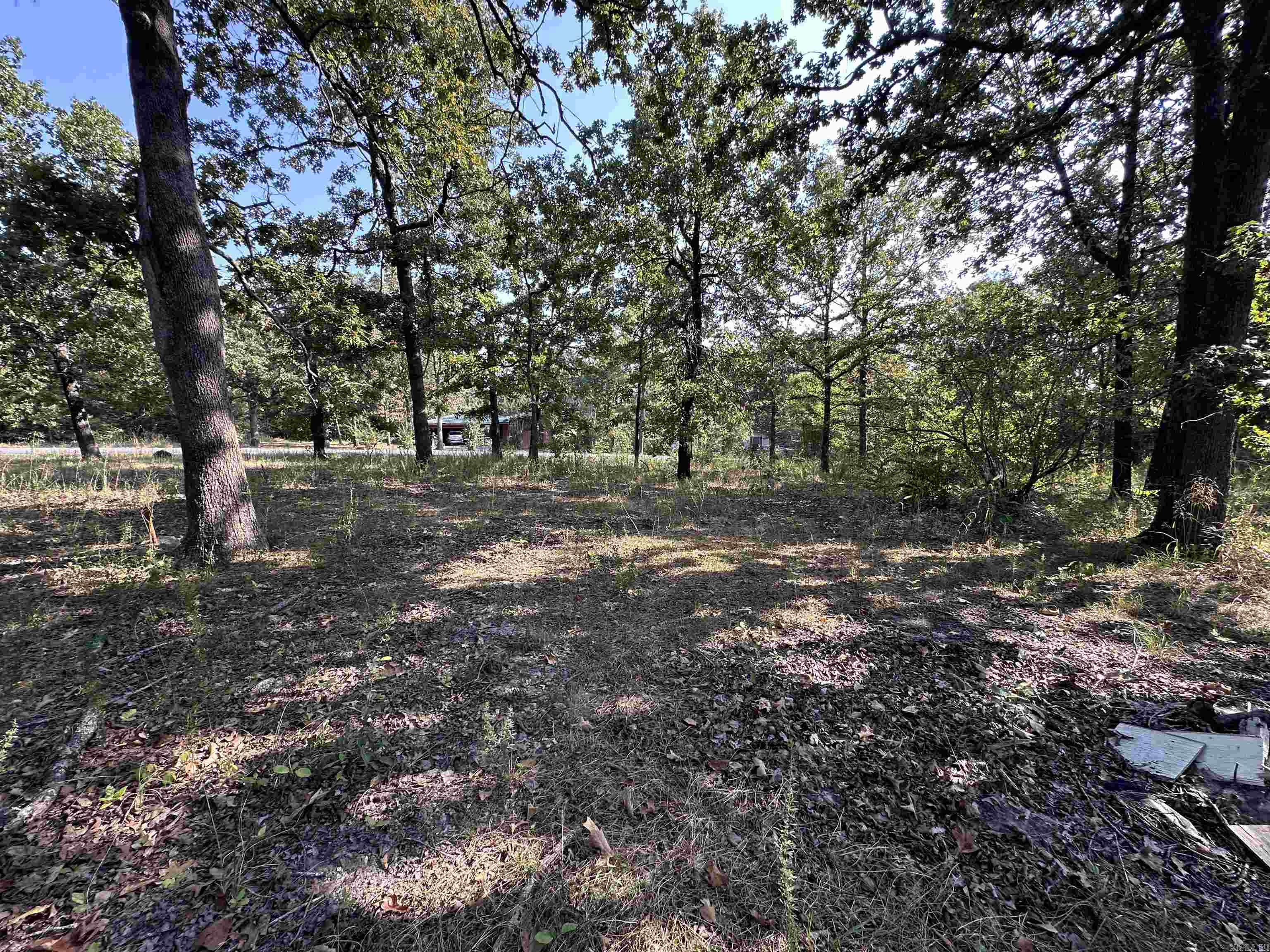 305,307 & 309 Ruby Ln  Horseshoe Bend, AR