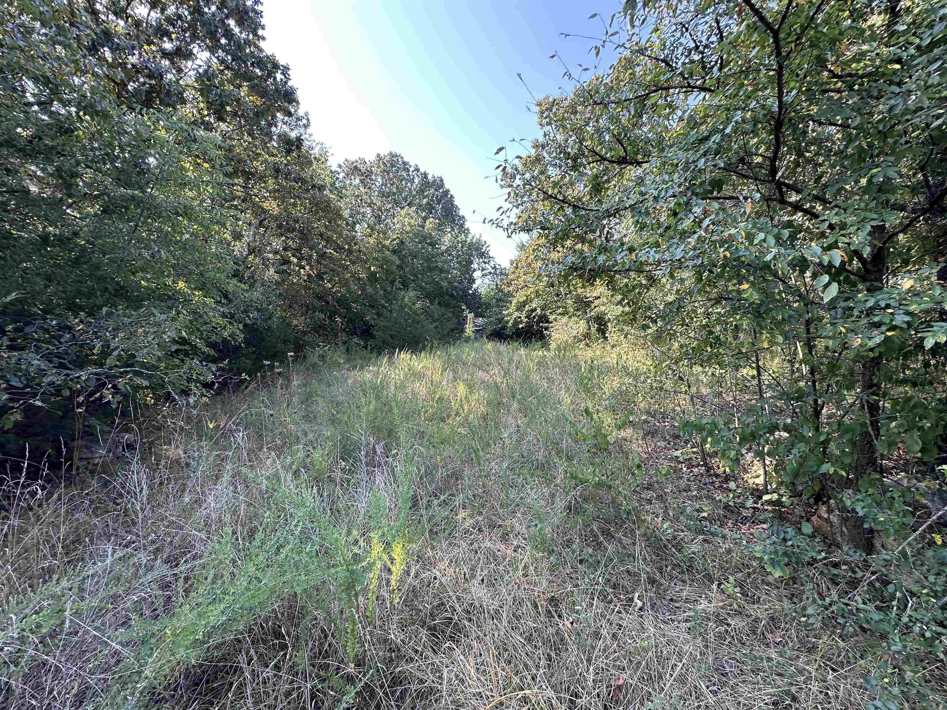 305,307 & 309 Ruby Ln  Horseshoe Bend, AR