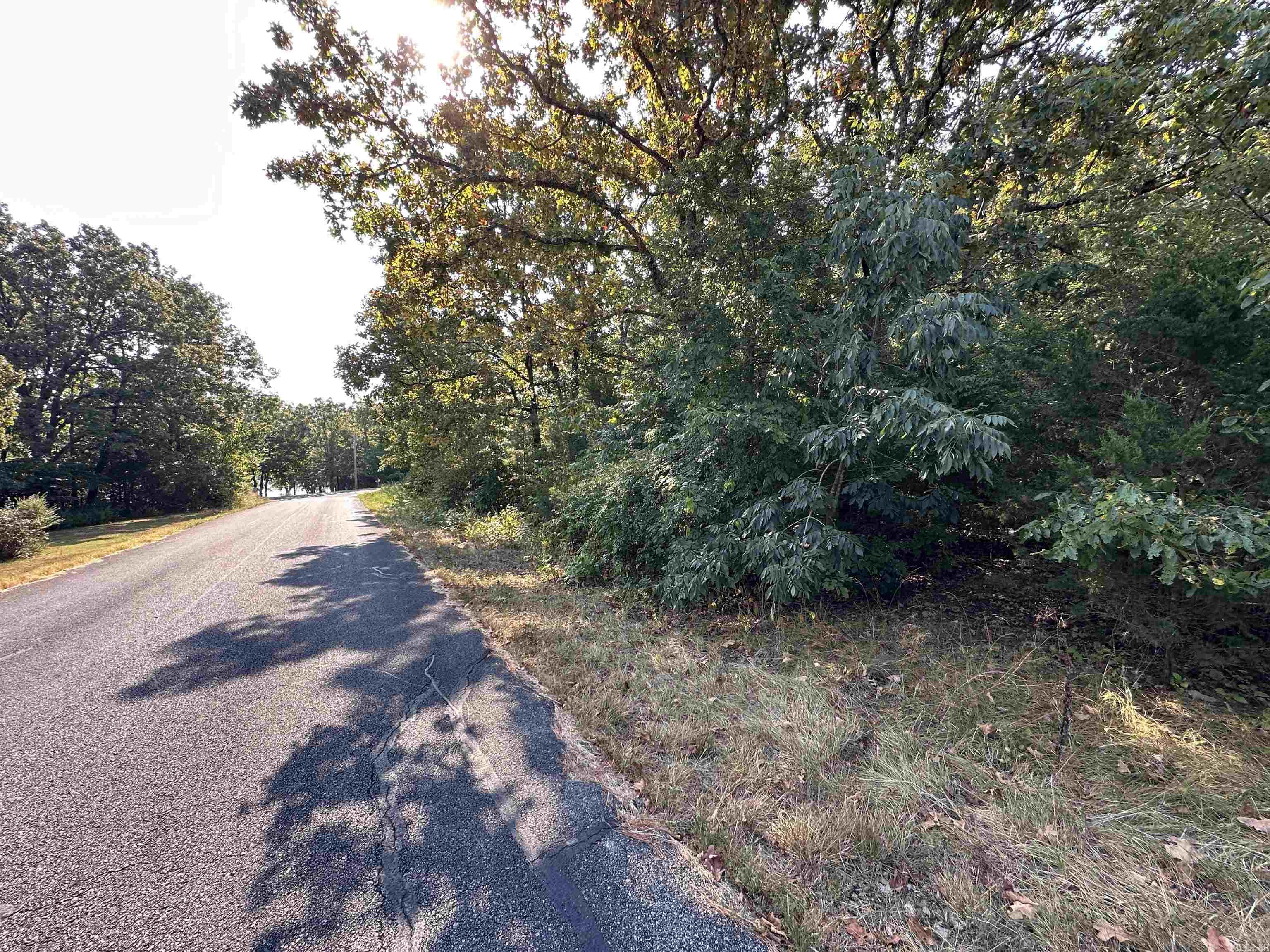 305,307 & 309 Ruby Ln  Horseshoe Bend, AR
