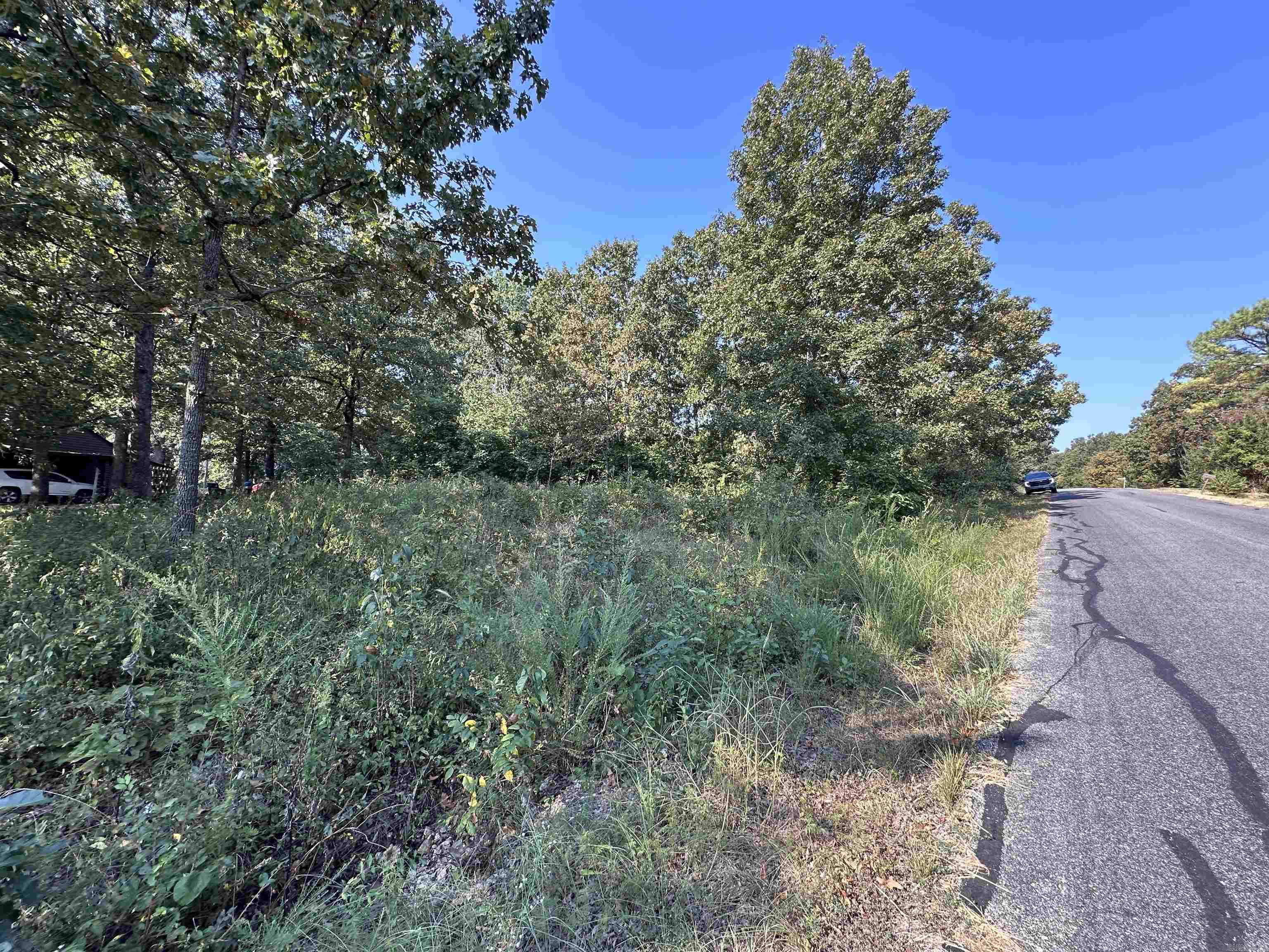 305,307 & 309 Ruby Ln  Horseshoe Bend, AR