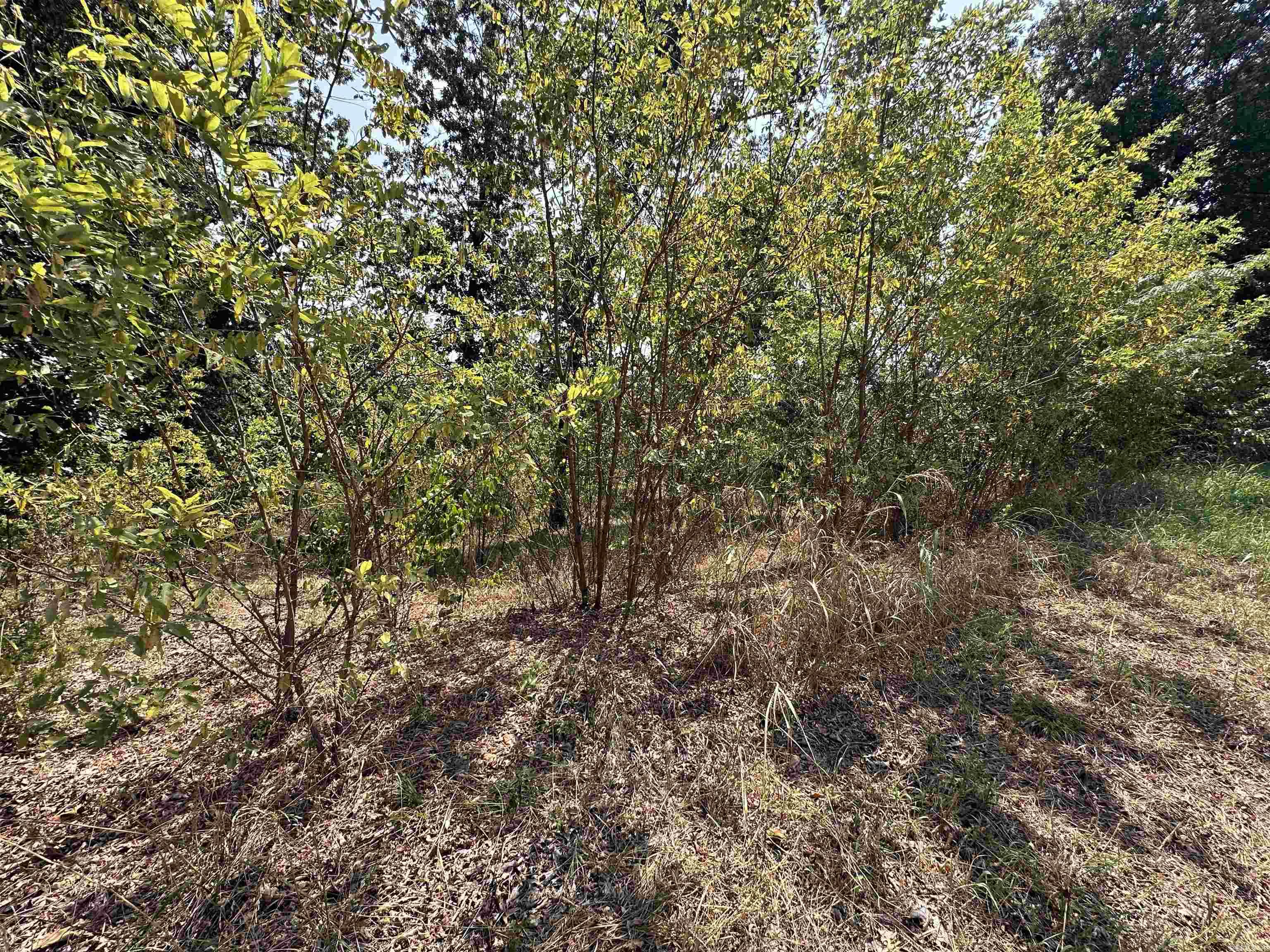 1302 & 1304 View Park Cir  Horseshoe Bend, AR