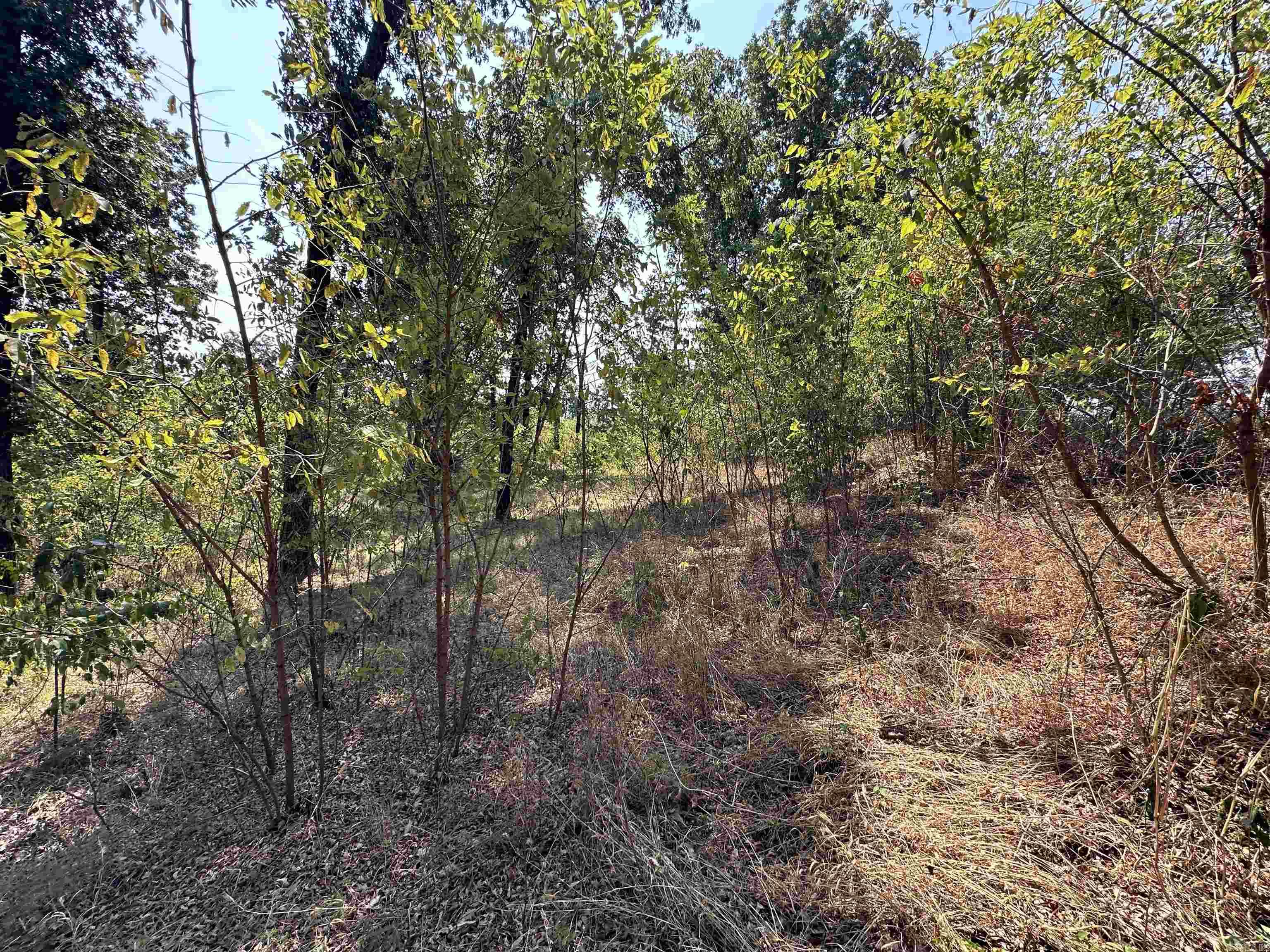 1302 & 1304 View Park Cir  Horseshoe Bend, AR
