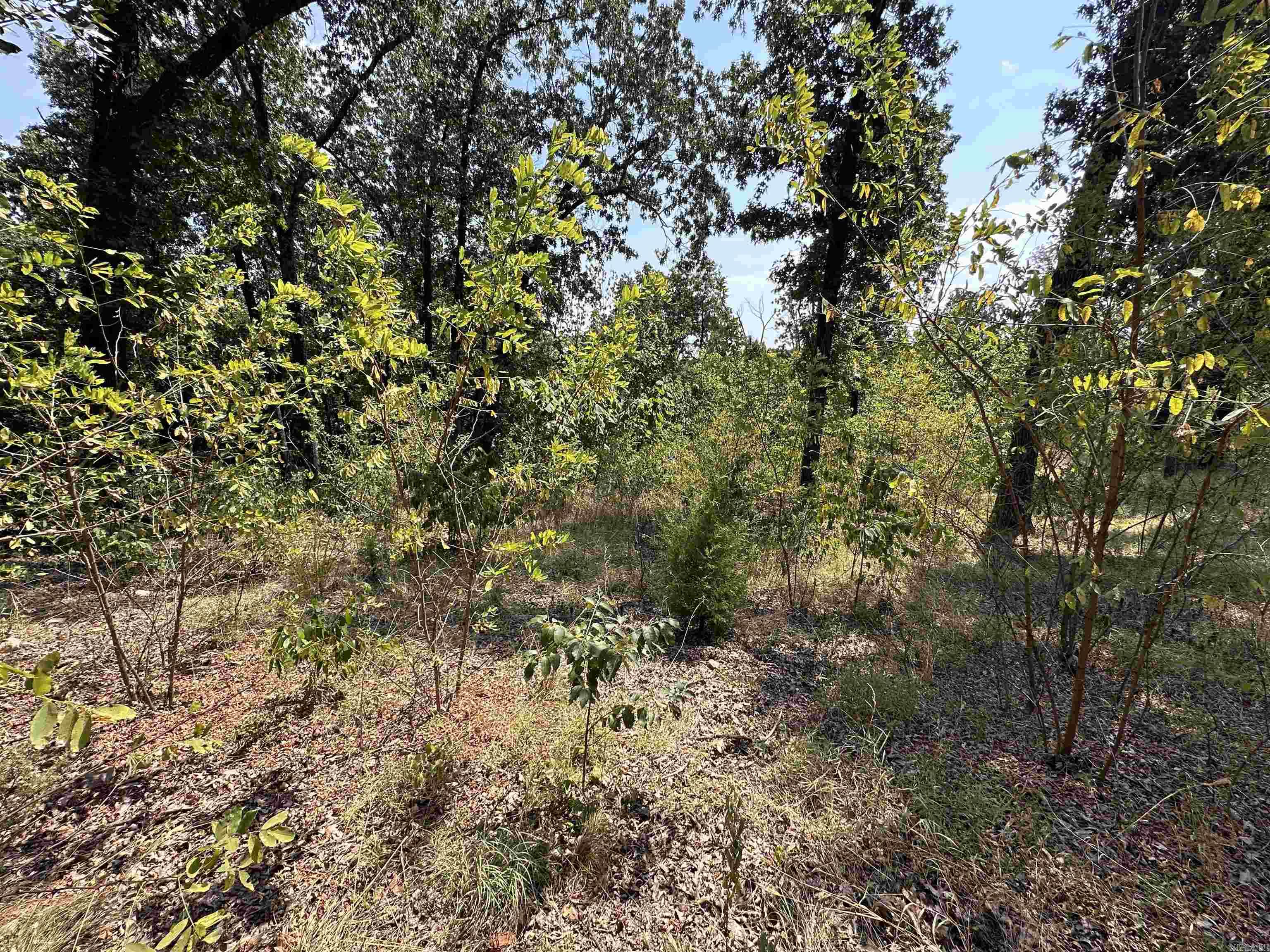 1302 & 1304 View Park Cir  Horseshoe Bend, AR