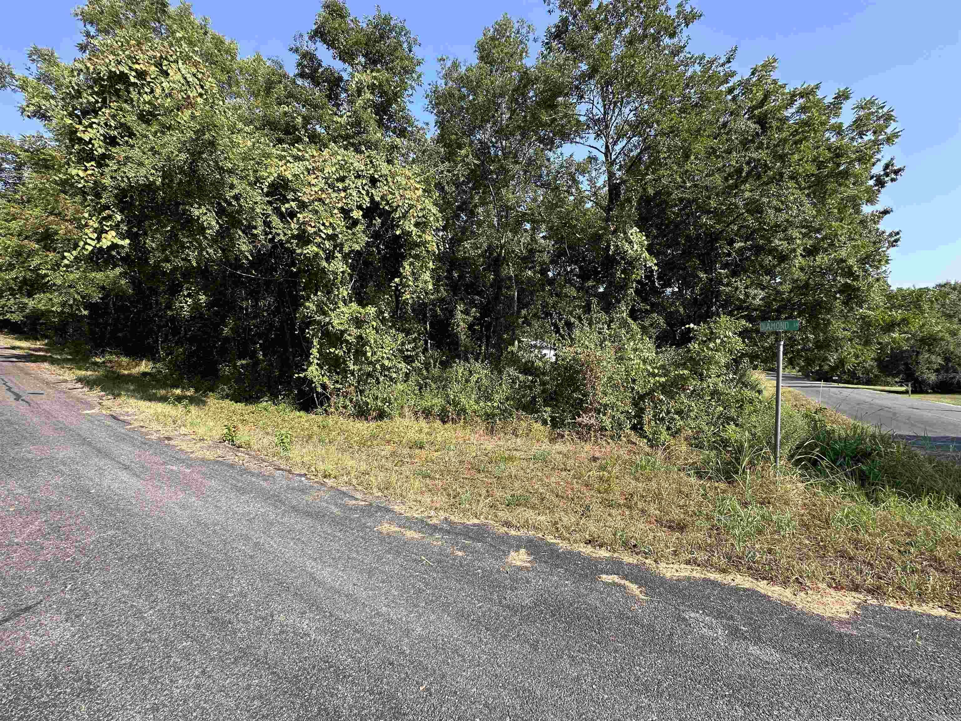 308 Diamond Ln  Horseshoe Bend, AR