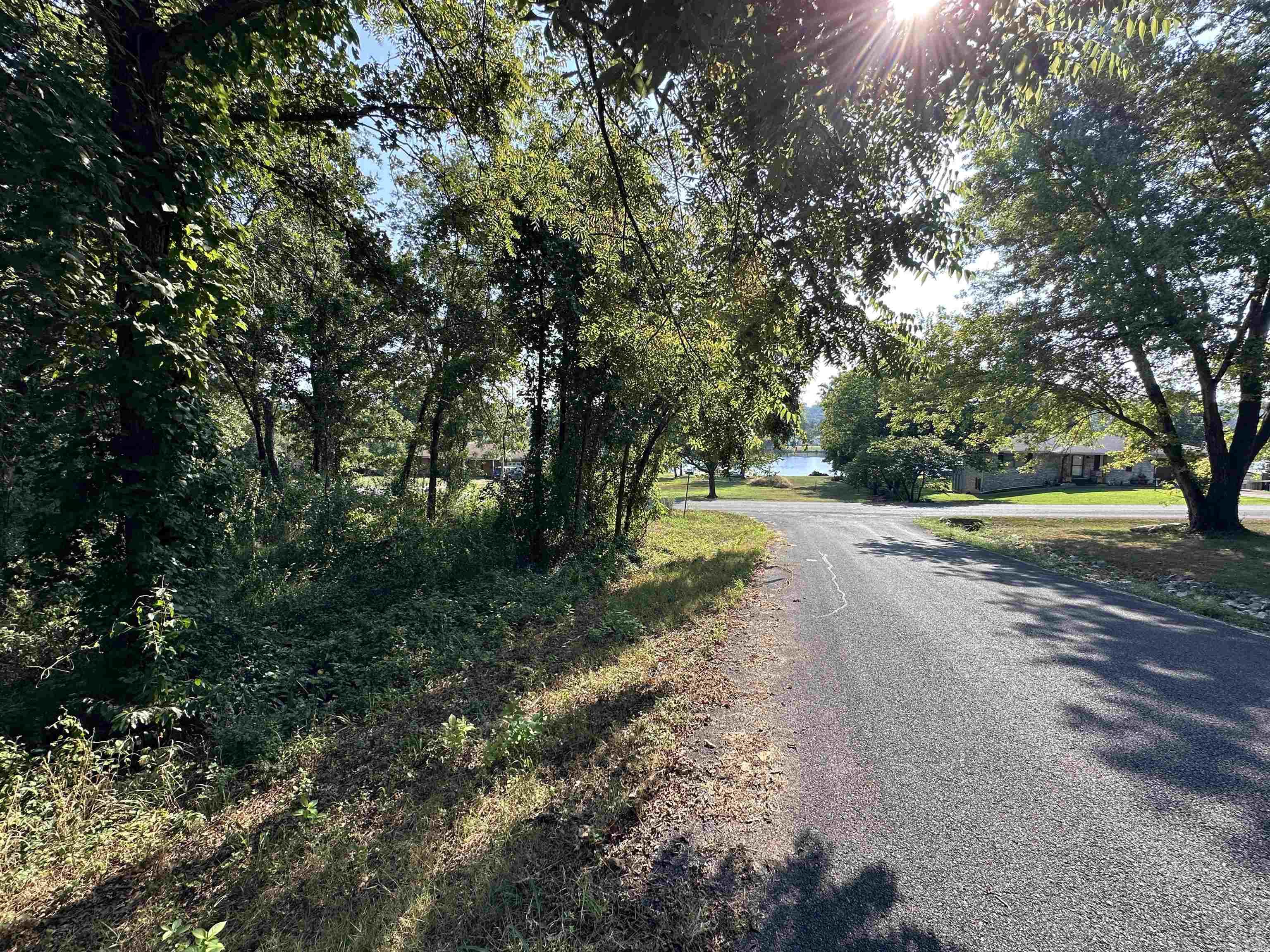 308 Diamond Ln  Horseshoe Bend, AR