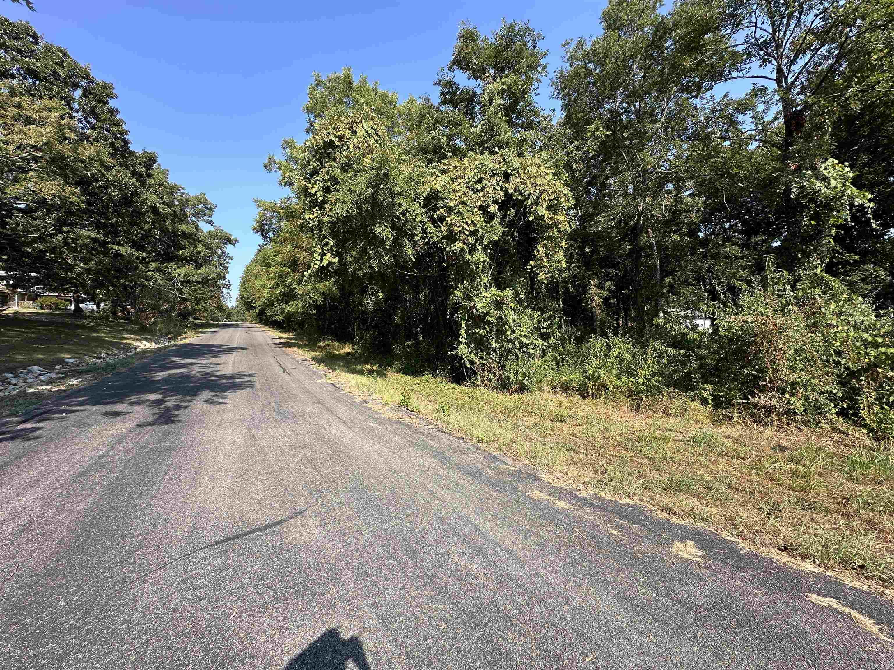 308 Diamond Ln  Horseshoe Bend, AR