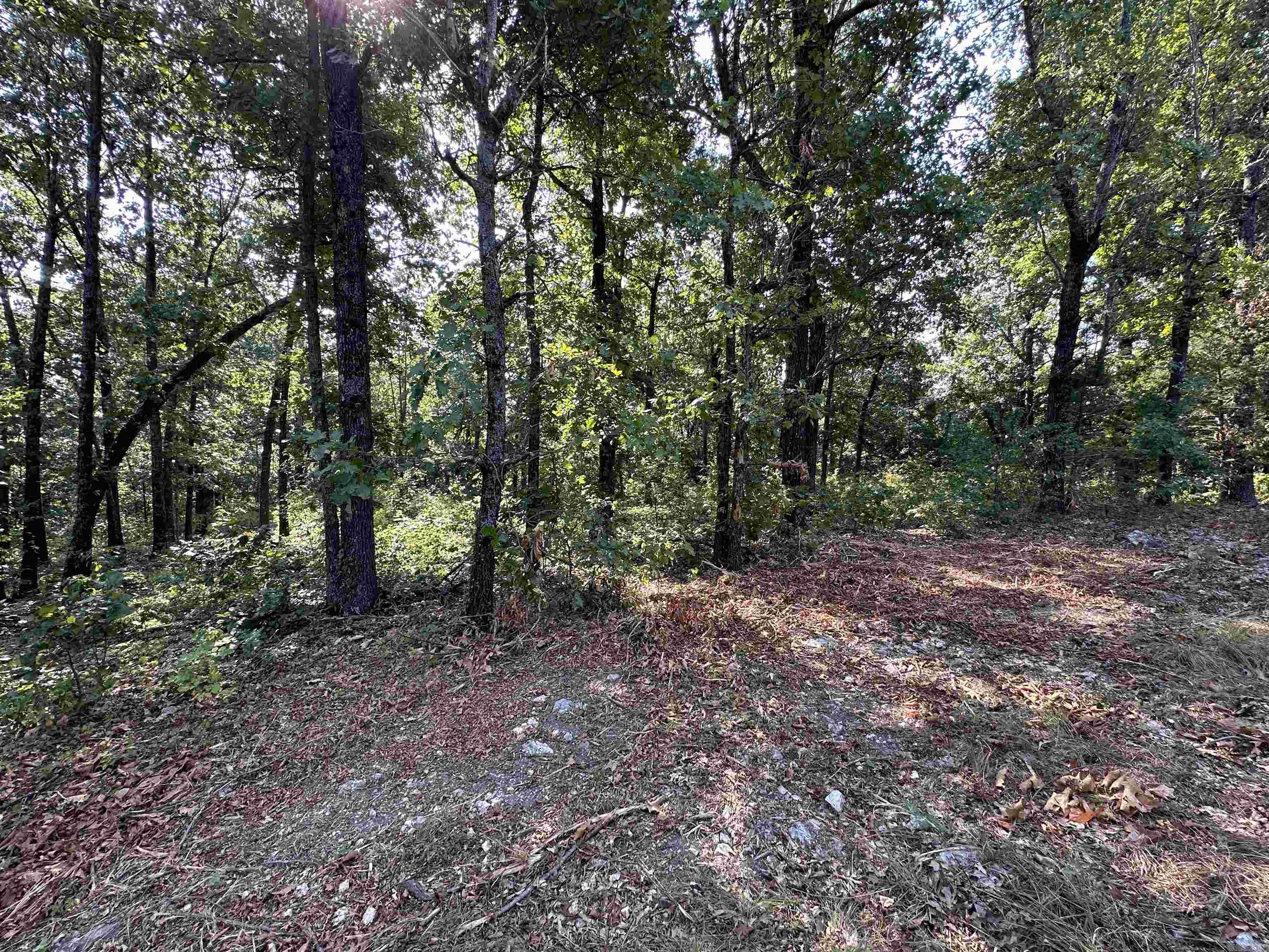 600,602,604 Pavilion Ln  Horseshoe Bend, AR