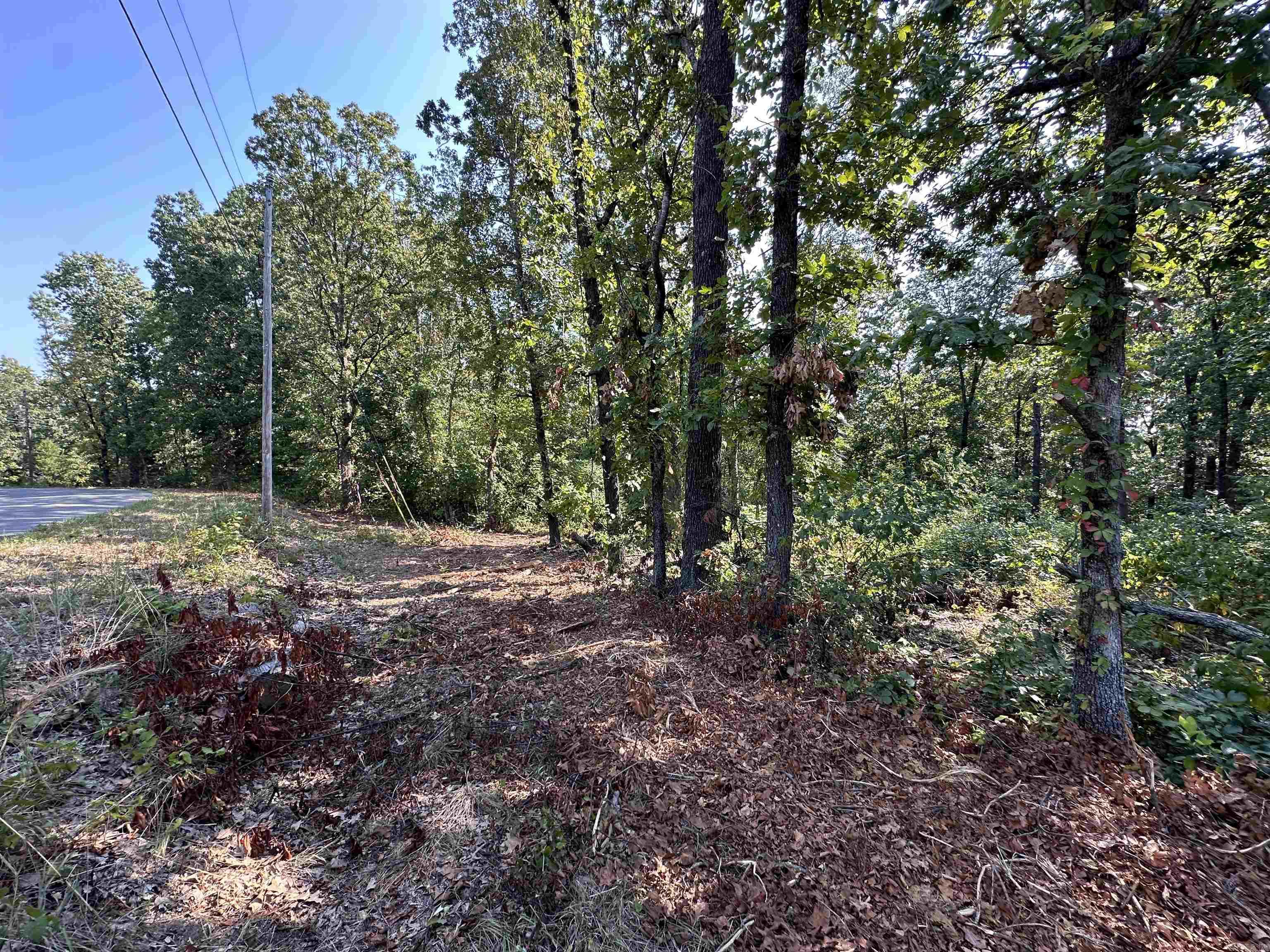 600,602,604 Pavilion Ln  Horseshoe Bend, AR