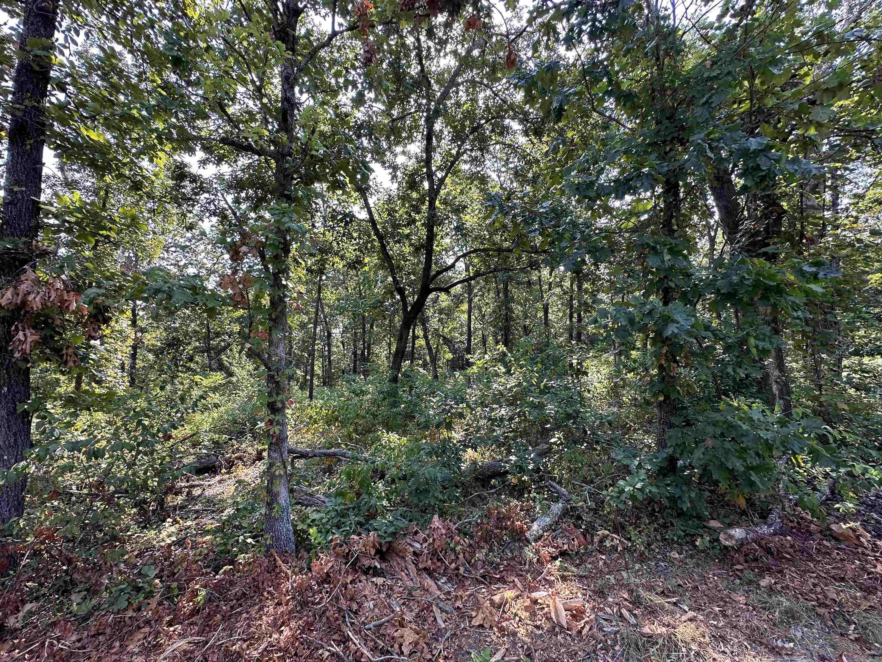 600,602,604 Pavilion Ln  Horseshoe Bend, AR