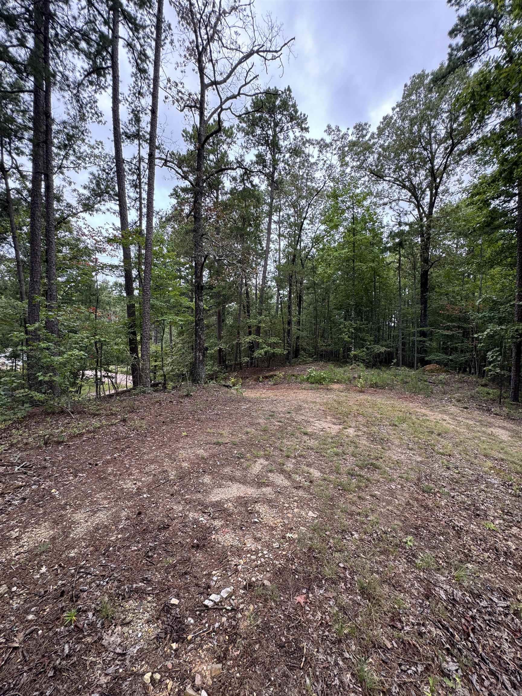 151 Moon Hollow Trail  Hot Springs, AR