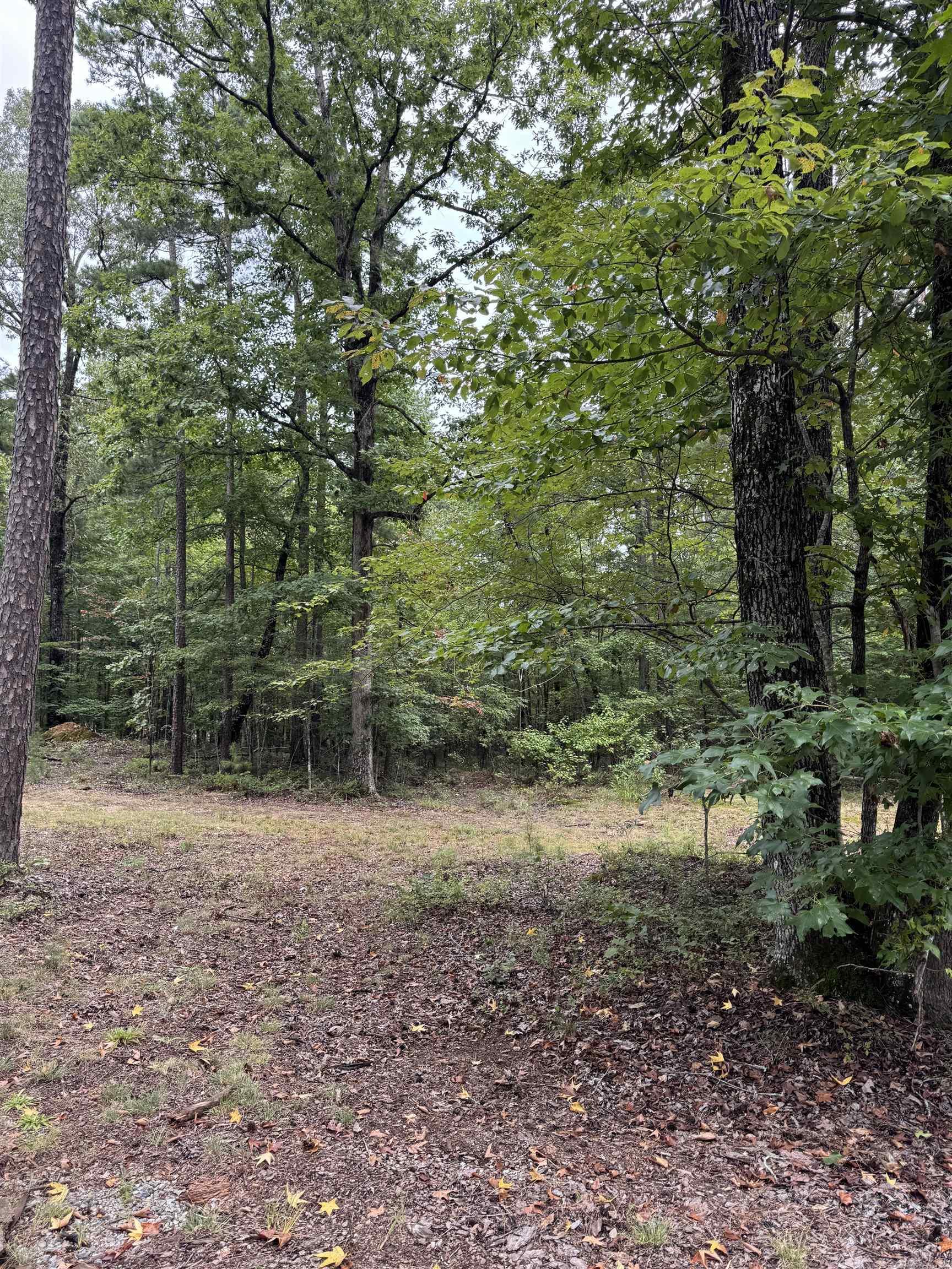 151 Moon Hollow Trail  Hot Springs, AR