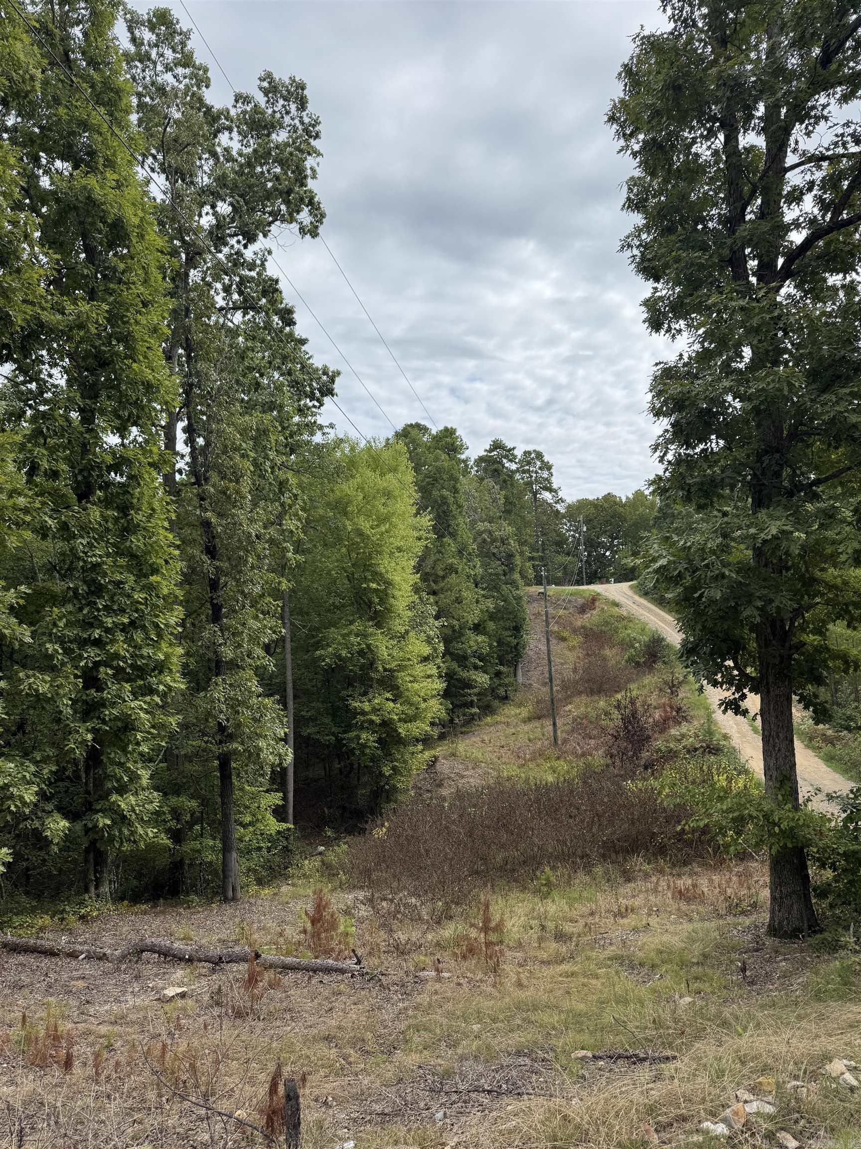 151 Moon Hollow Trail  Hot Springs, AR