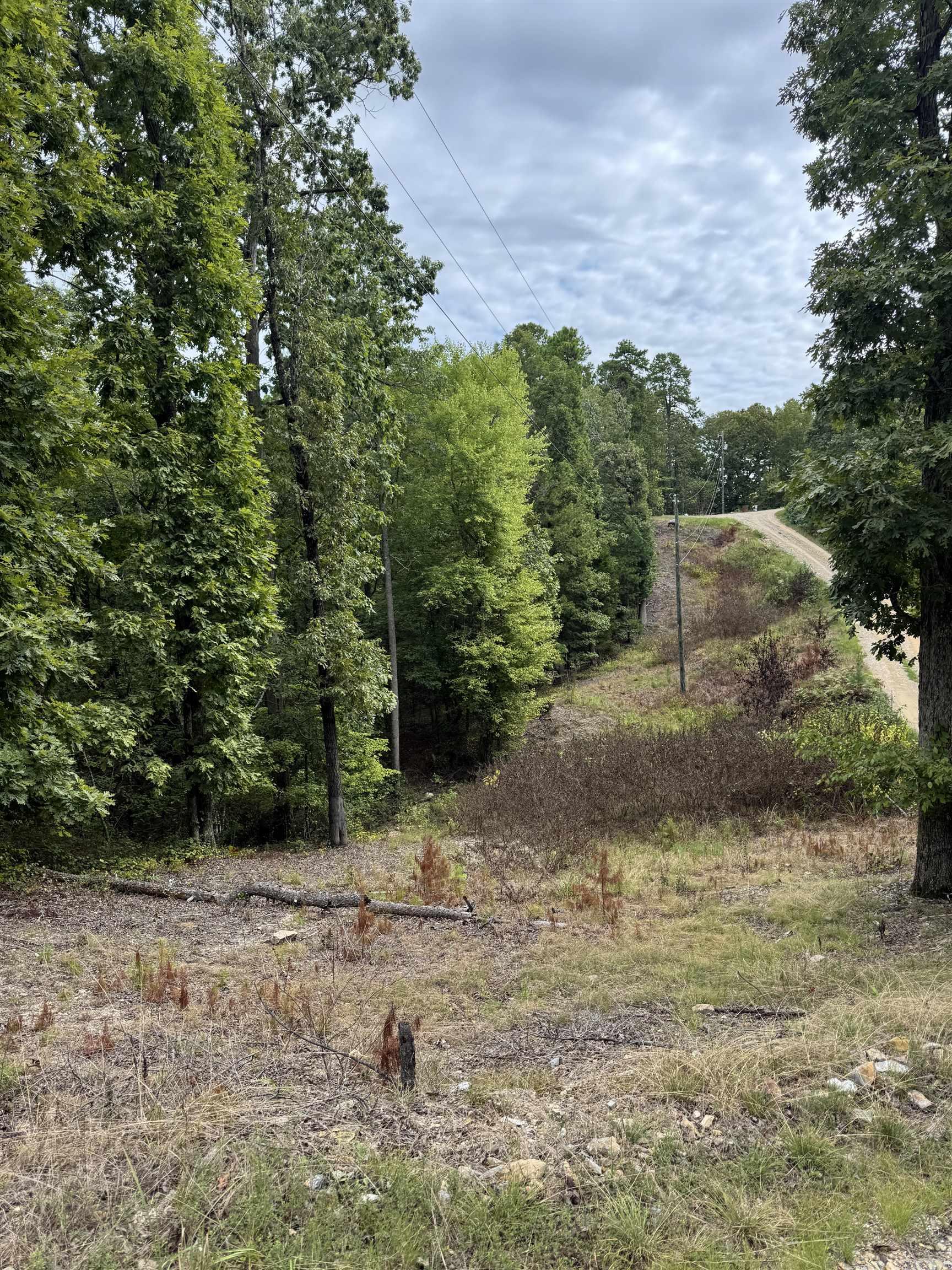 151 Moon Hollow Trail  Hot Springs, AR