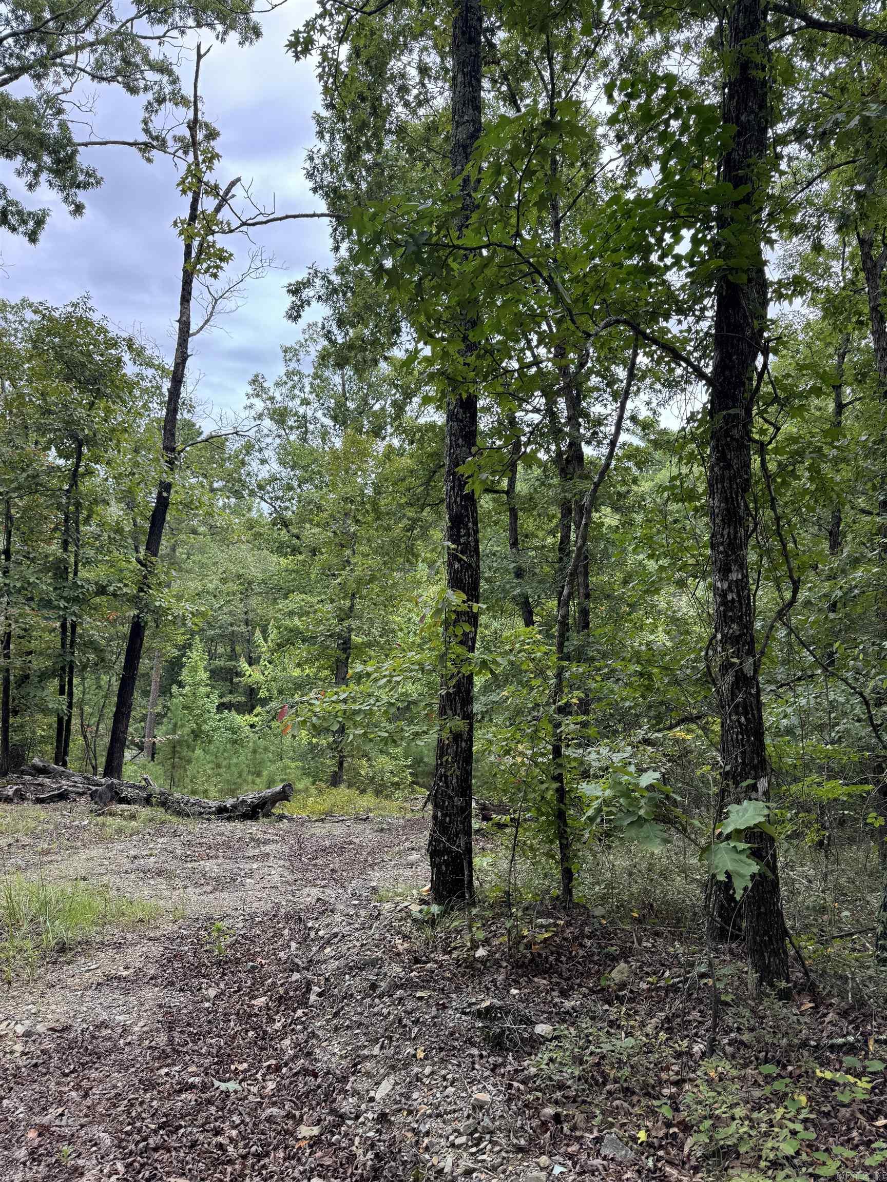 151 Moon Hollow Trail  Hot Springs, AR