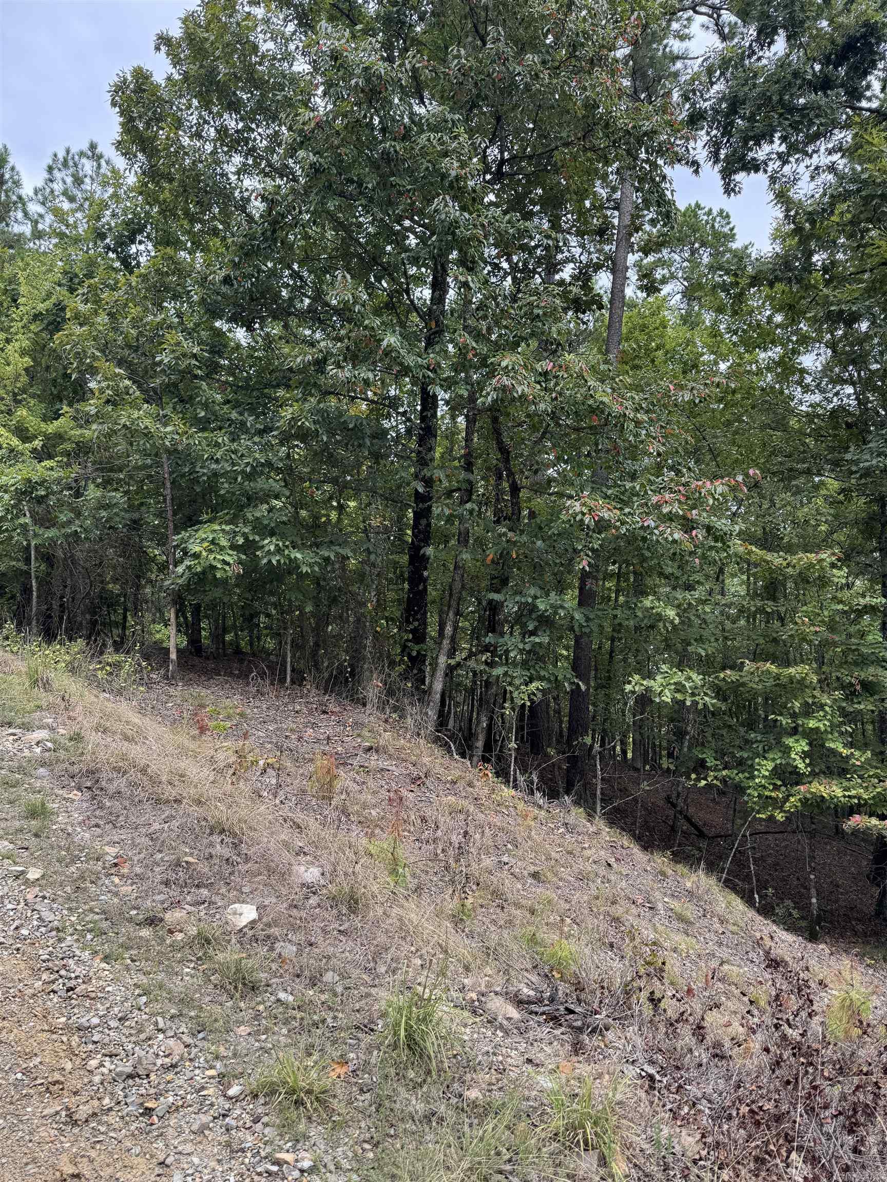 151 Moon Hollow Trail  Hot Springs, AR