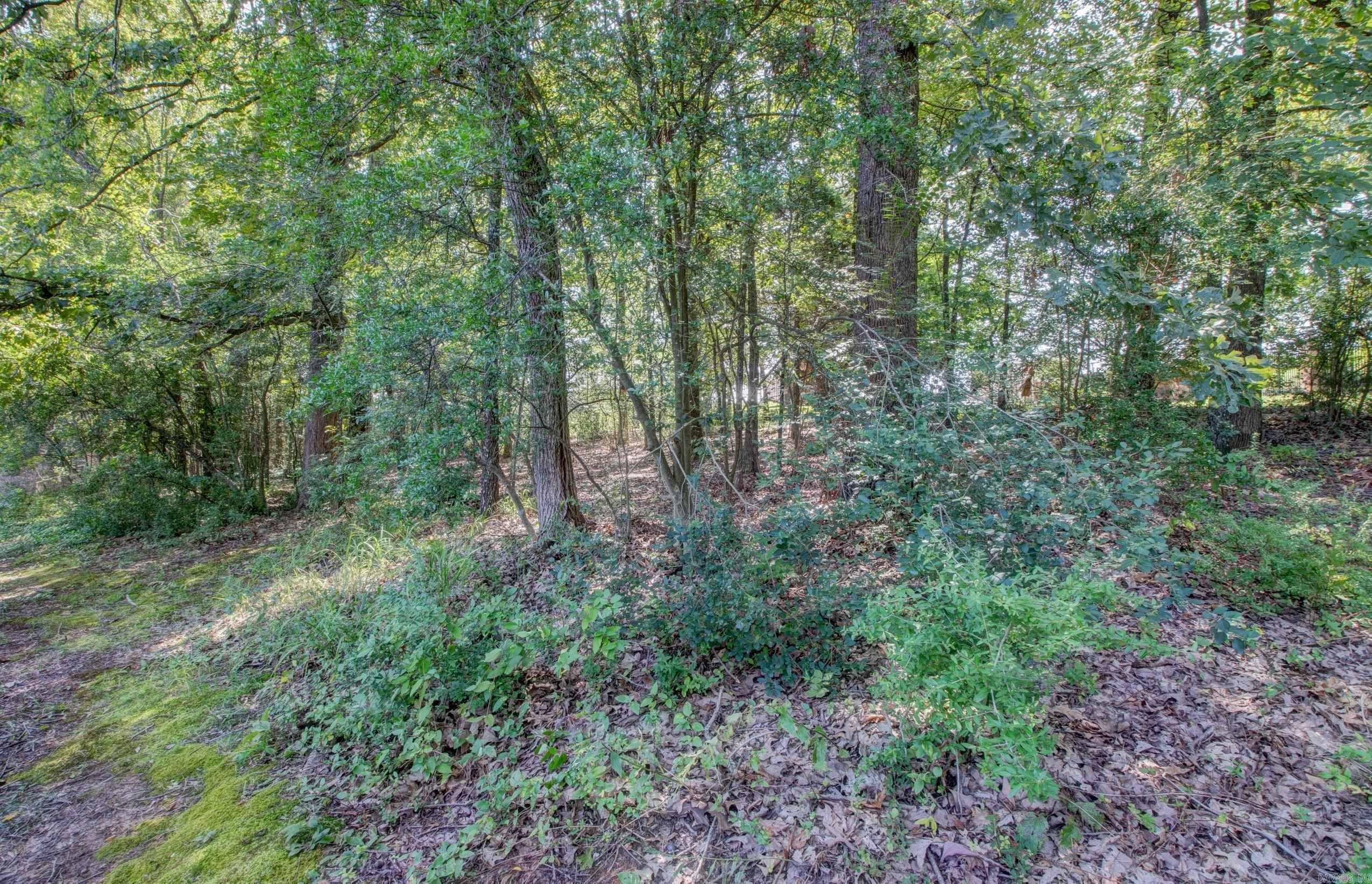 15 Rocky Valley  Little Rock, AR
