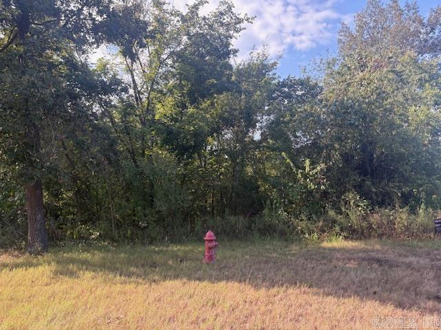 Lot 15 & 2A S Hwy 5  Norfork, AR