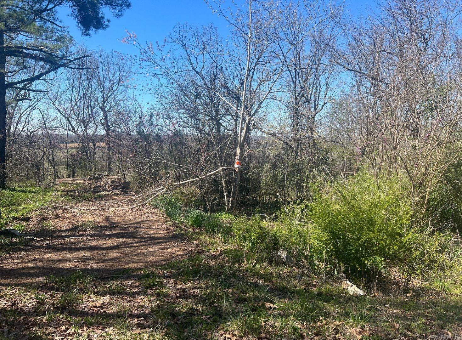1301 Hawk Dr  Horseshoe Bend, AR