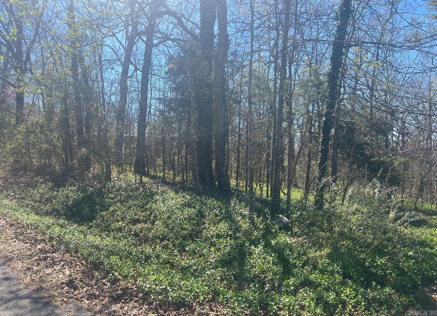 1301 Hawk Dr  Horseshoe Bend, AR