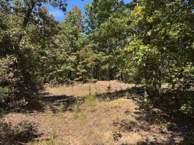 TBD Echowood Circle  Viola, AR