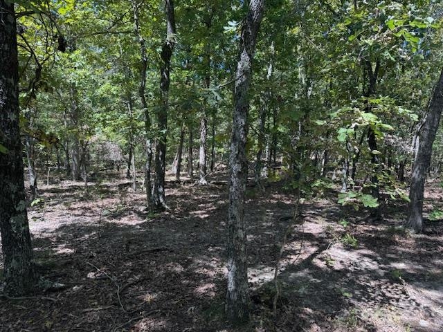 TBD Echowood Circle  Viola, AR