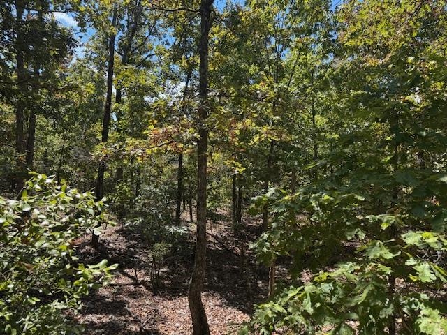 TBD Echowood Circle  Viola, AR