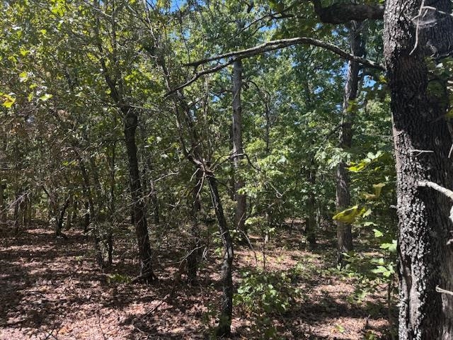 TBD Echowood Circle  Viola, AR