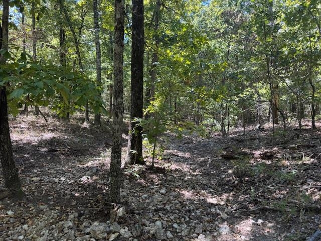 TBD Echowood Circle  Viola, AR