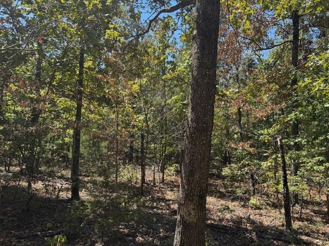 TBD Echowood Circle  Viola, AR