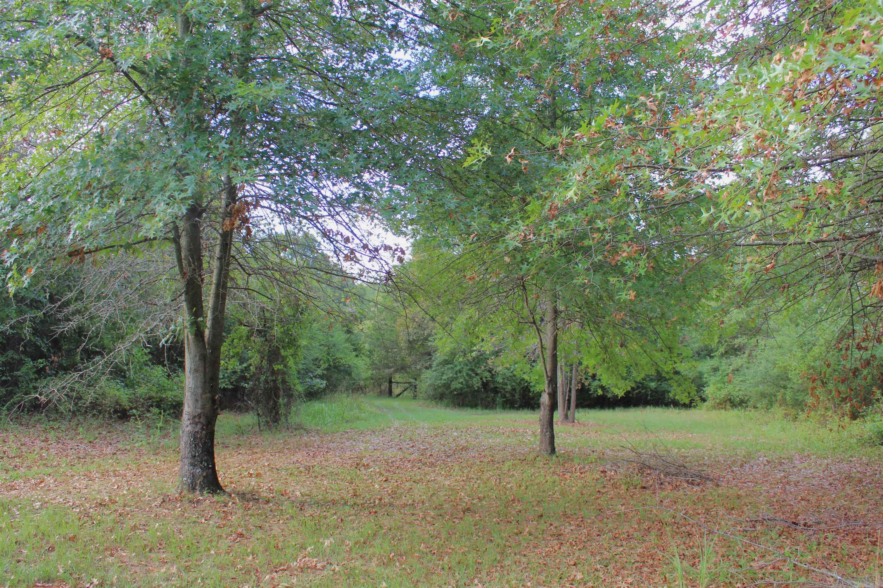 3241 356  Bee Branch, AR