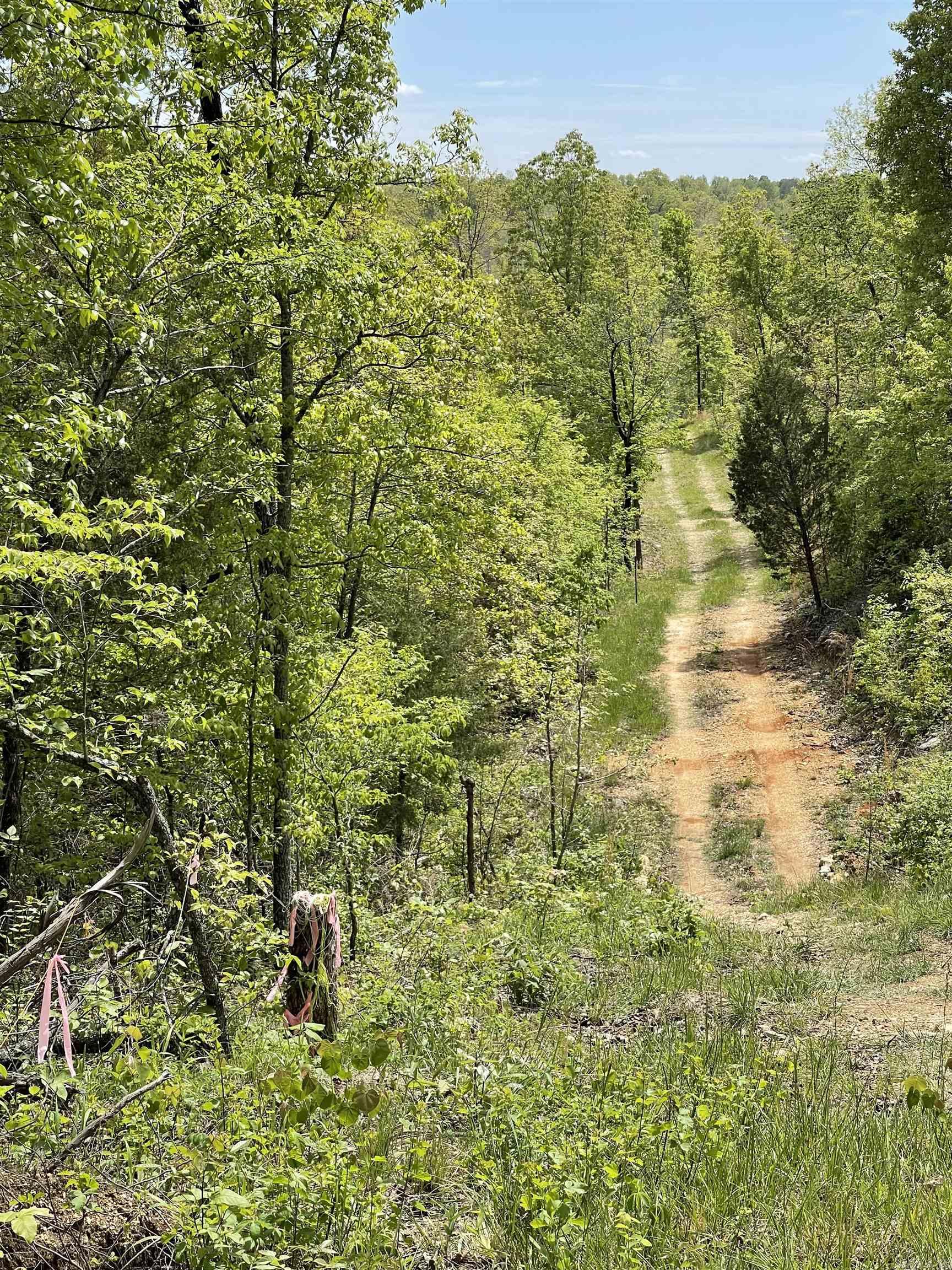 20.17 AC RAINBOW VALLEY TRAIL  Mammoth Spring, AR
