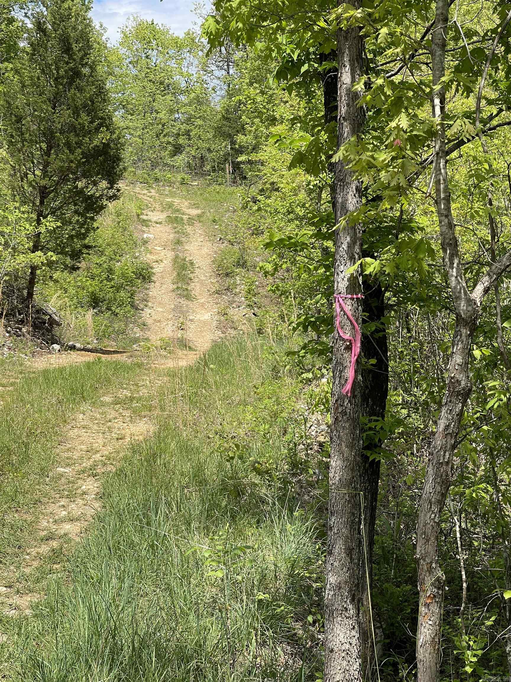 20.17 AC RAINBOW VALLEY TRAIL  Mammoth Spring, AR