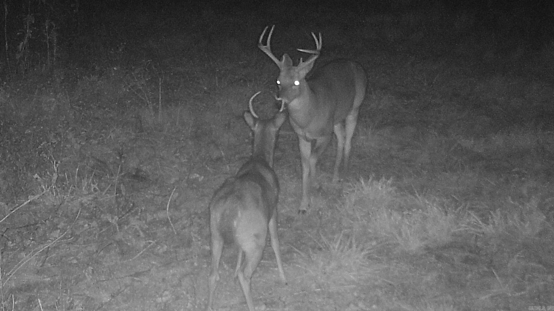 20.17 AC RAINBOW VALLEY TRAIL  Mammoth Spring, AR