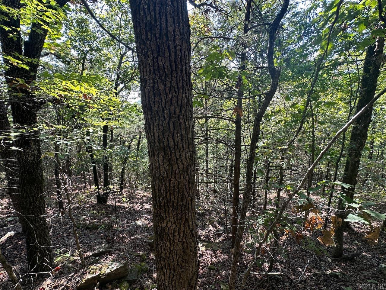 000 Gassaway  Searcy, AR