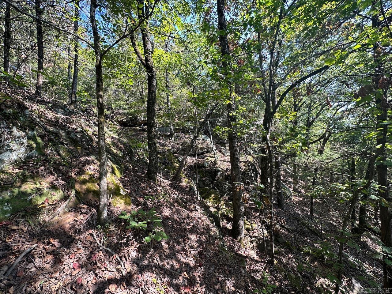 000 Gassaway  Searcy, AR