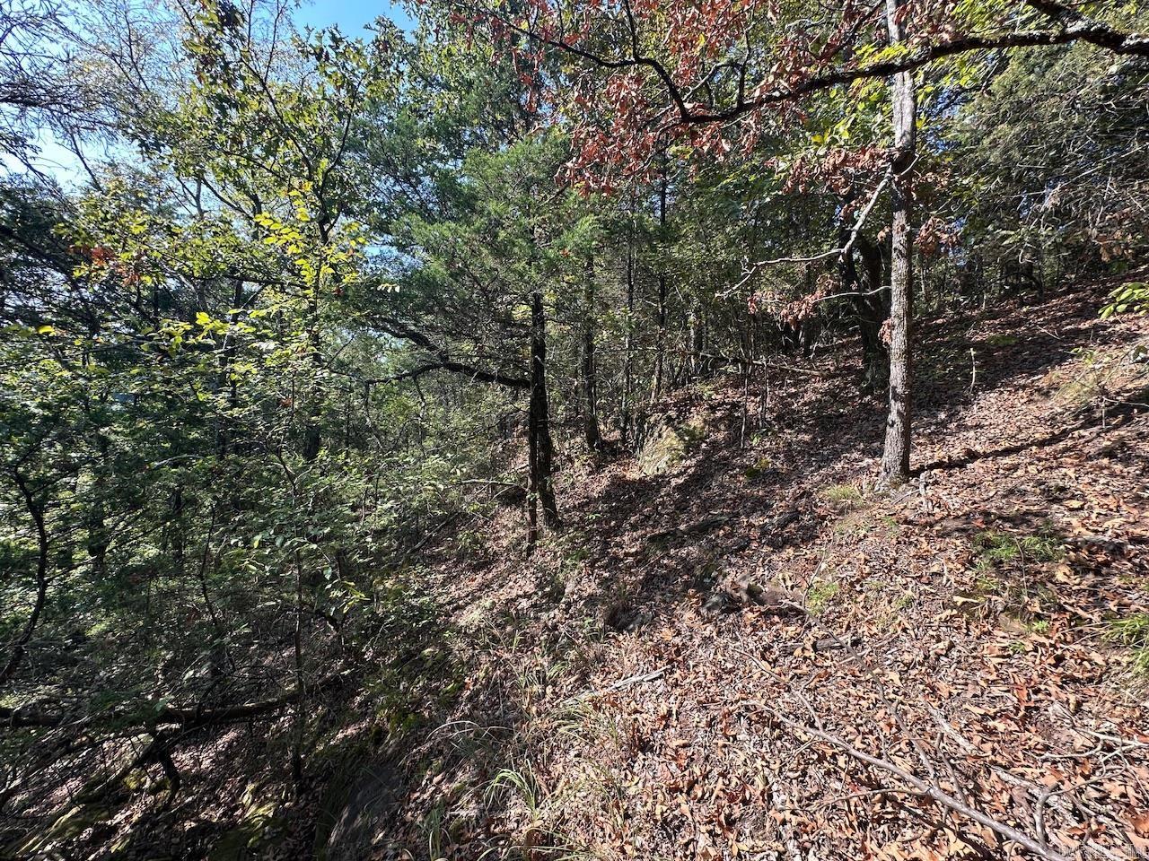 000 Gassaway  Searcy, AR