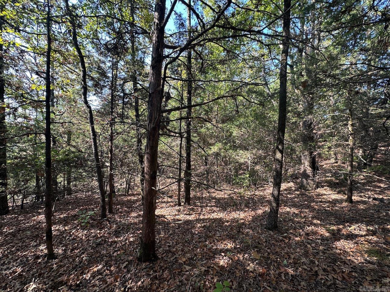 000 Gassaway  Searcy, AR